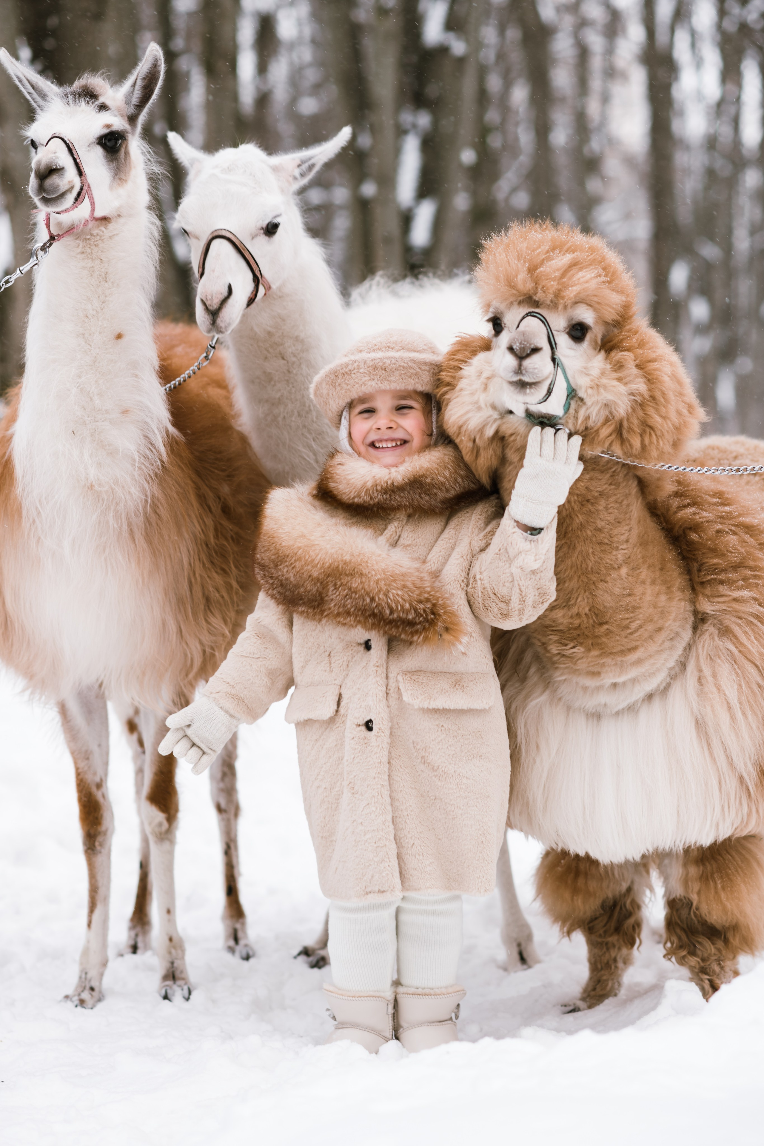 Winter. Семейный и контент фотограф