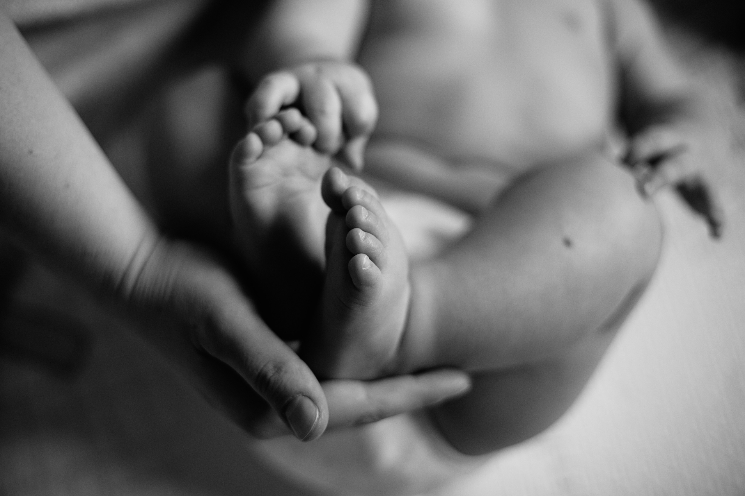 Паша Настя Мия Поля. Семейный фотограф в Минске и РБ Стеликова Анна