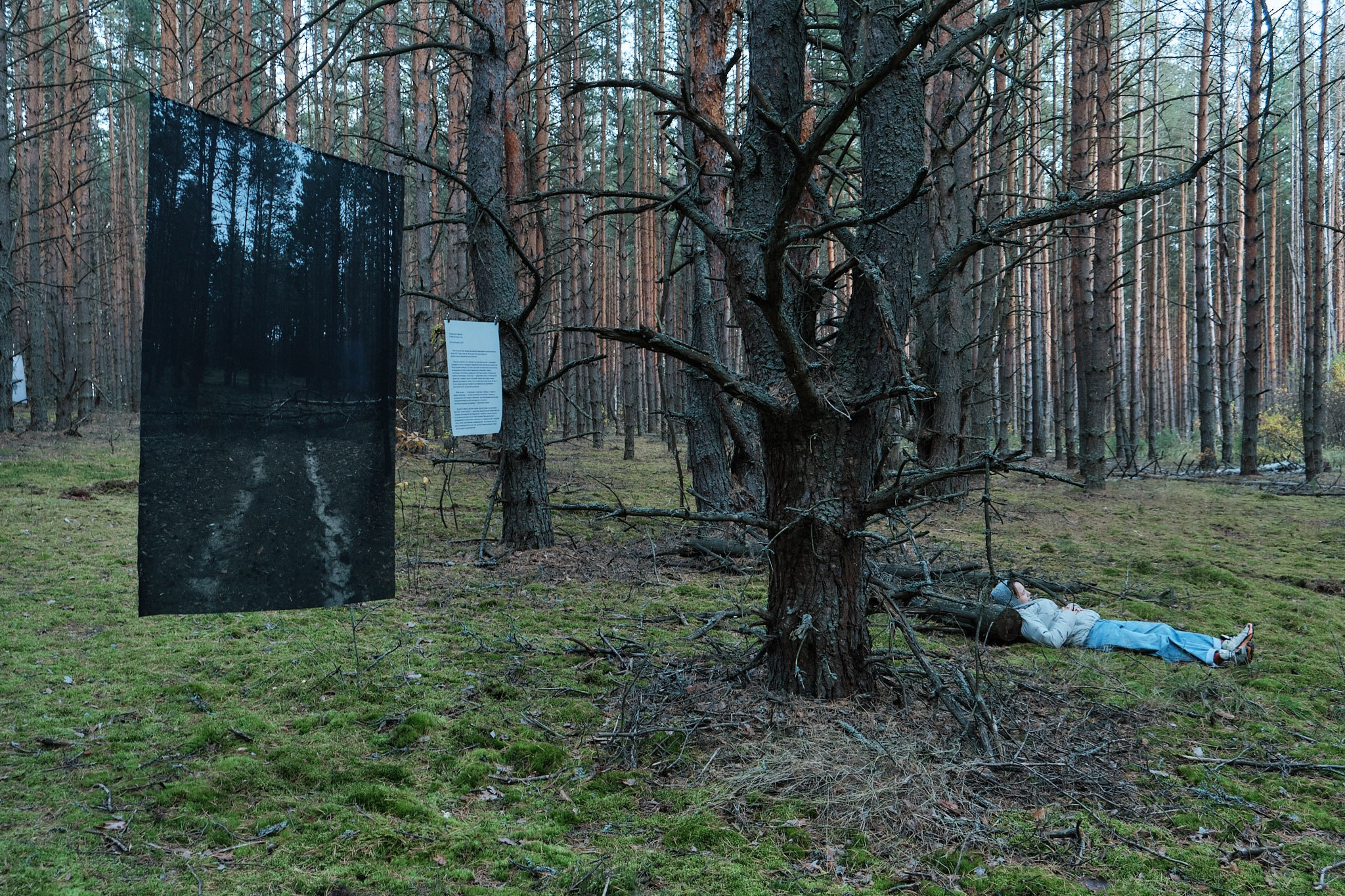 Я приношу к себе лес я себя приношу в лес. Алиса Косарева