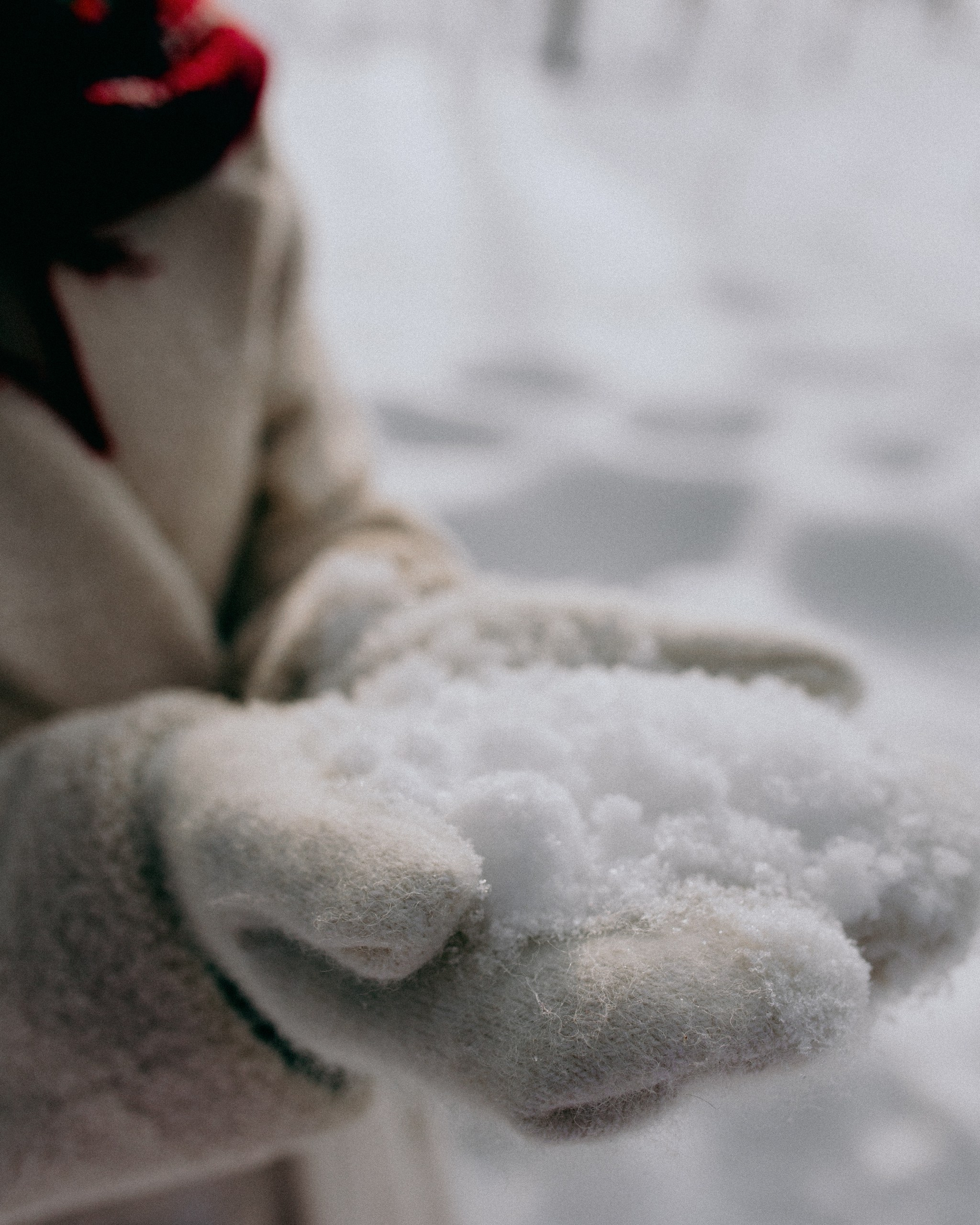 Сёстры. Масленица. Анастасия Турсунова арт-фотограф в Москве