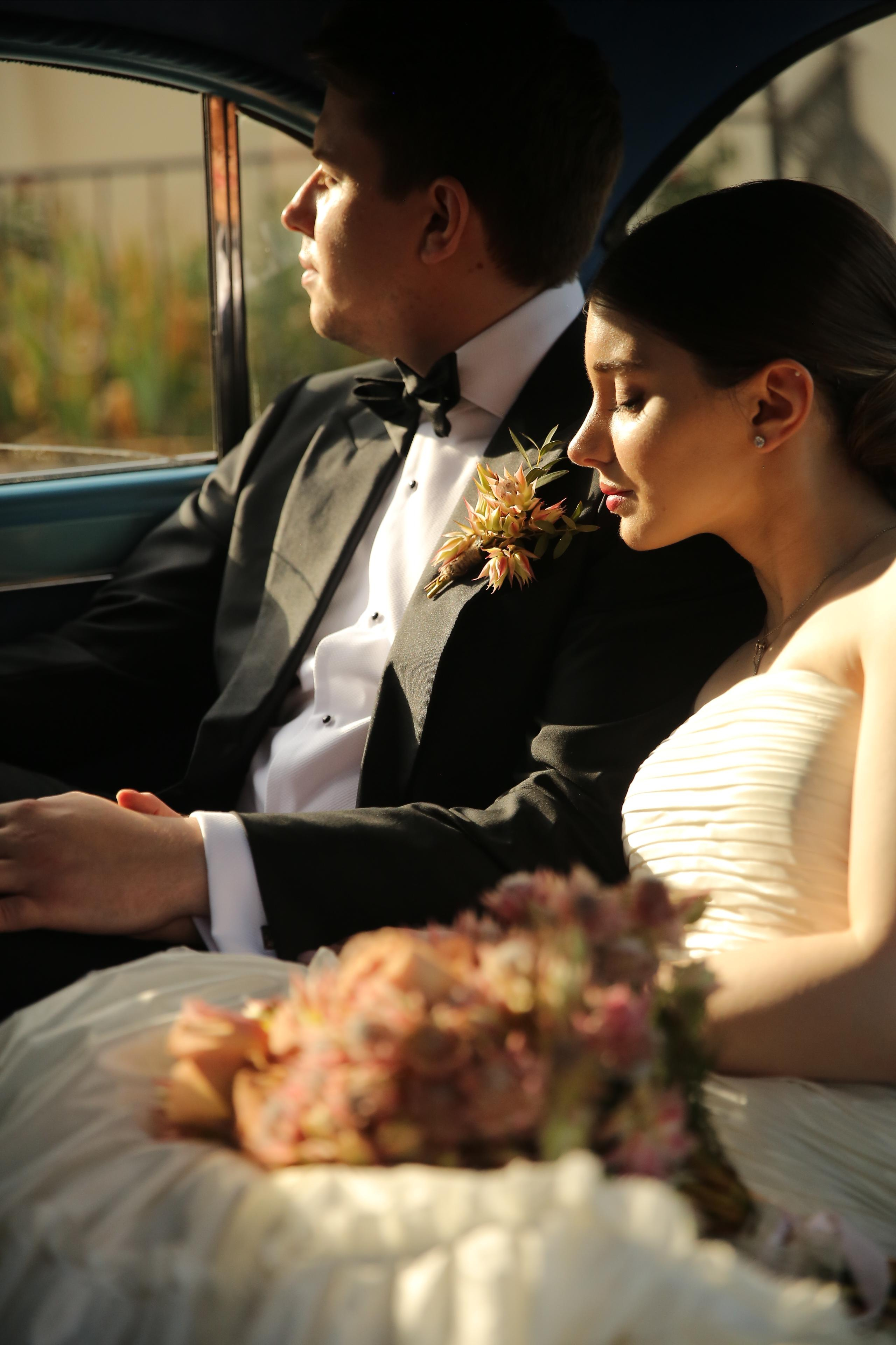 АЛЬБОМ. Главная