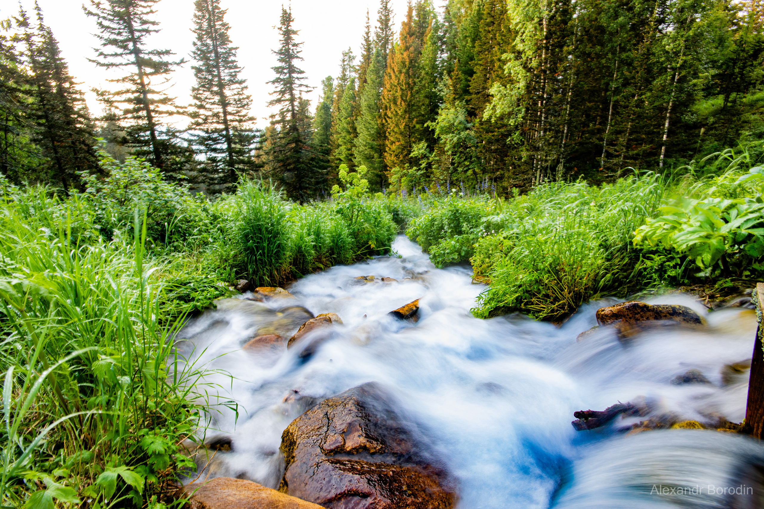 Пейзажи. Профессиональный фотограф Александр Бородин