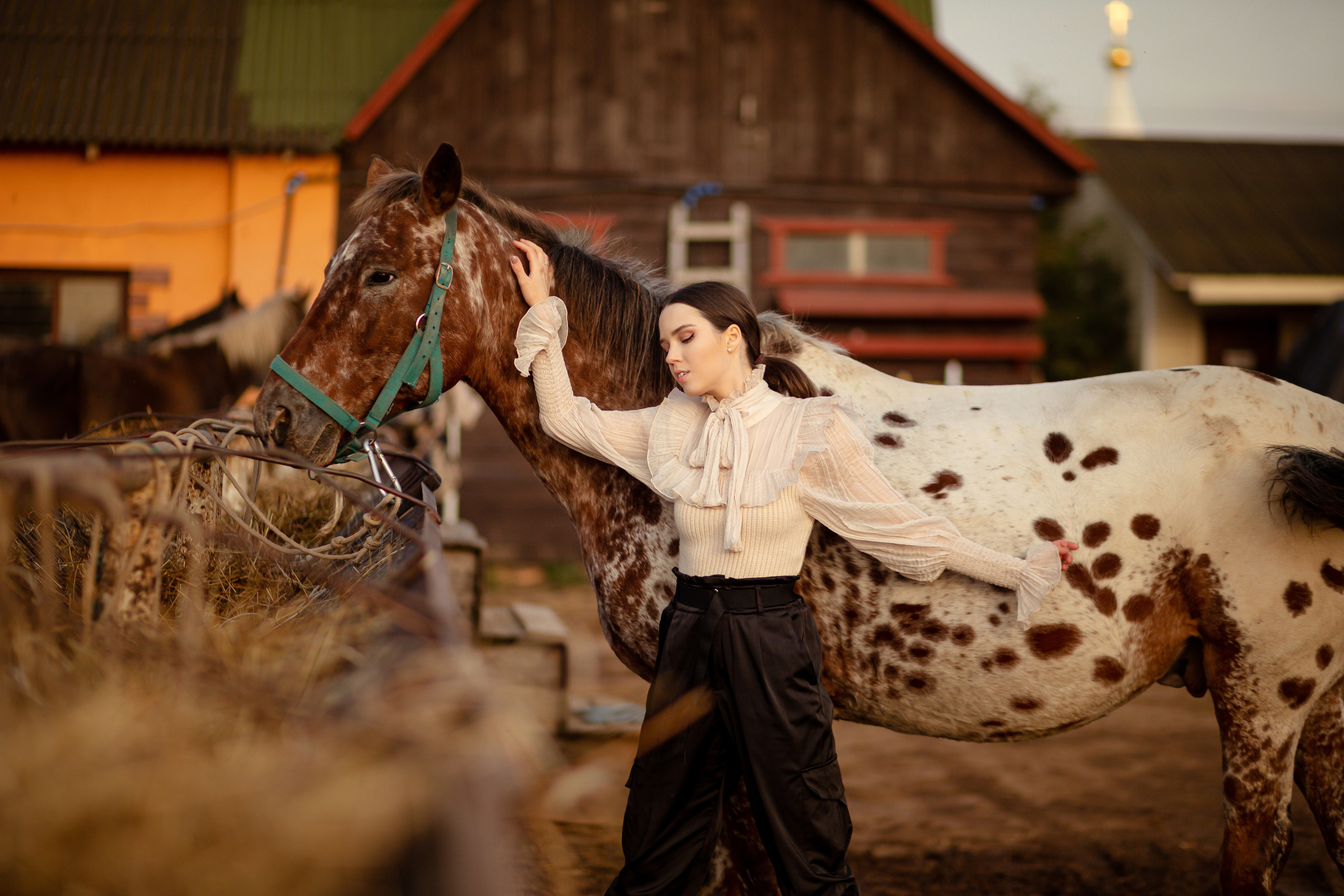 Девушка стоит возле лошади и держит ее за шею.