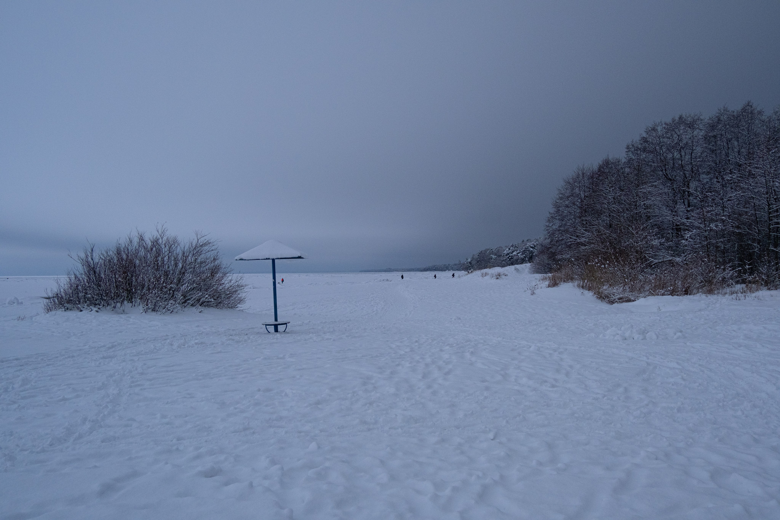 Комарово. Портретный и архитектурный фотограф в Москве и Санкт-Петербурге