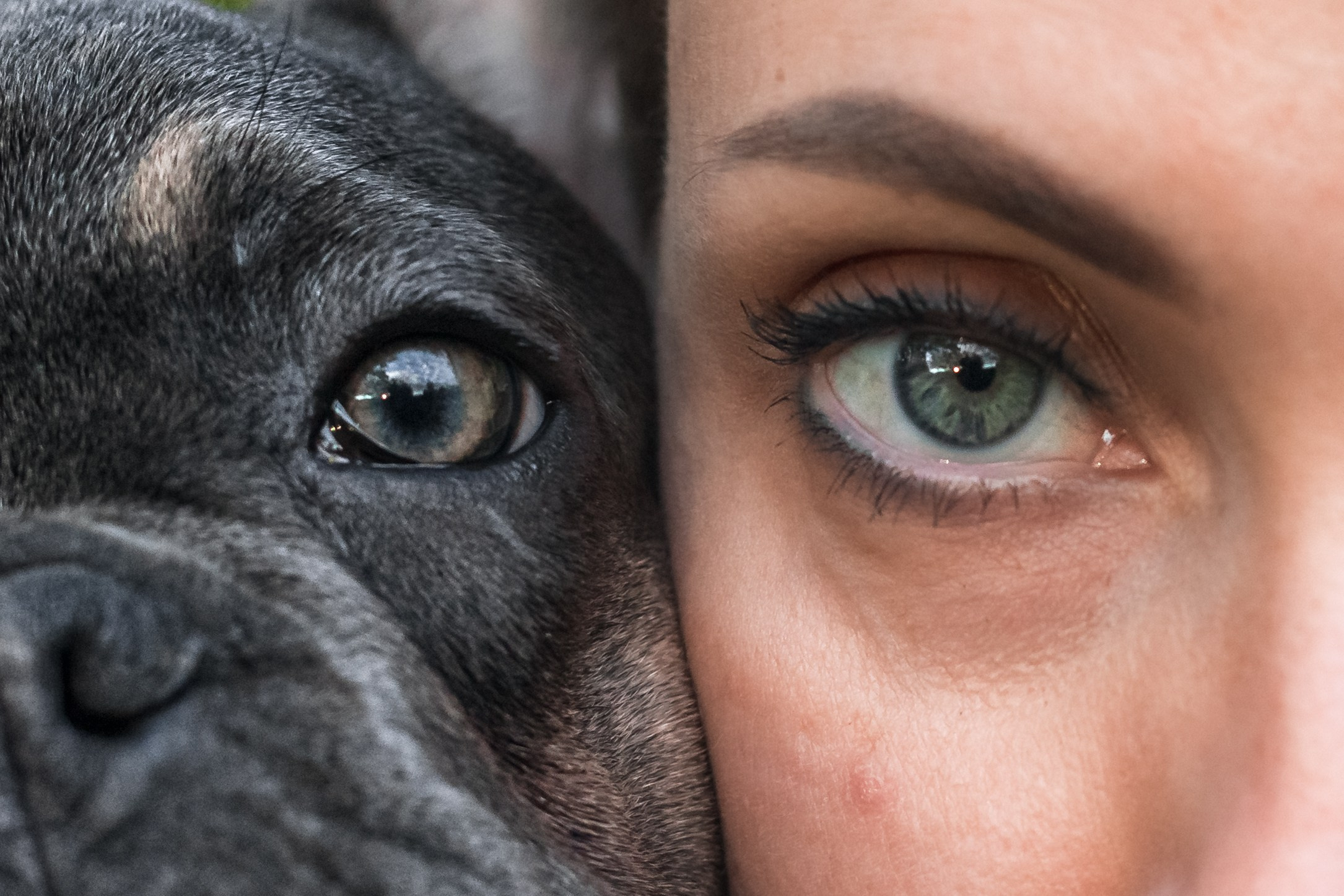 Даша и Мишель. Фотограф-анималист Татьяна Степанова