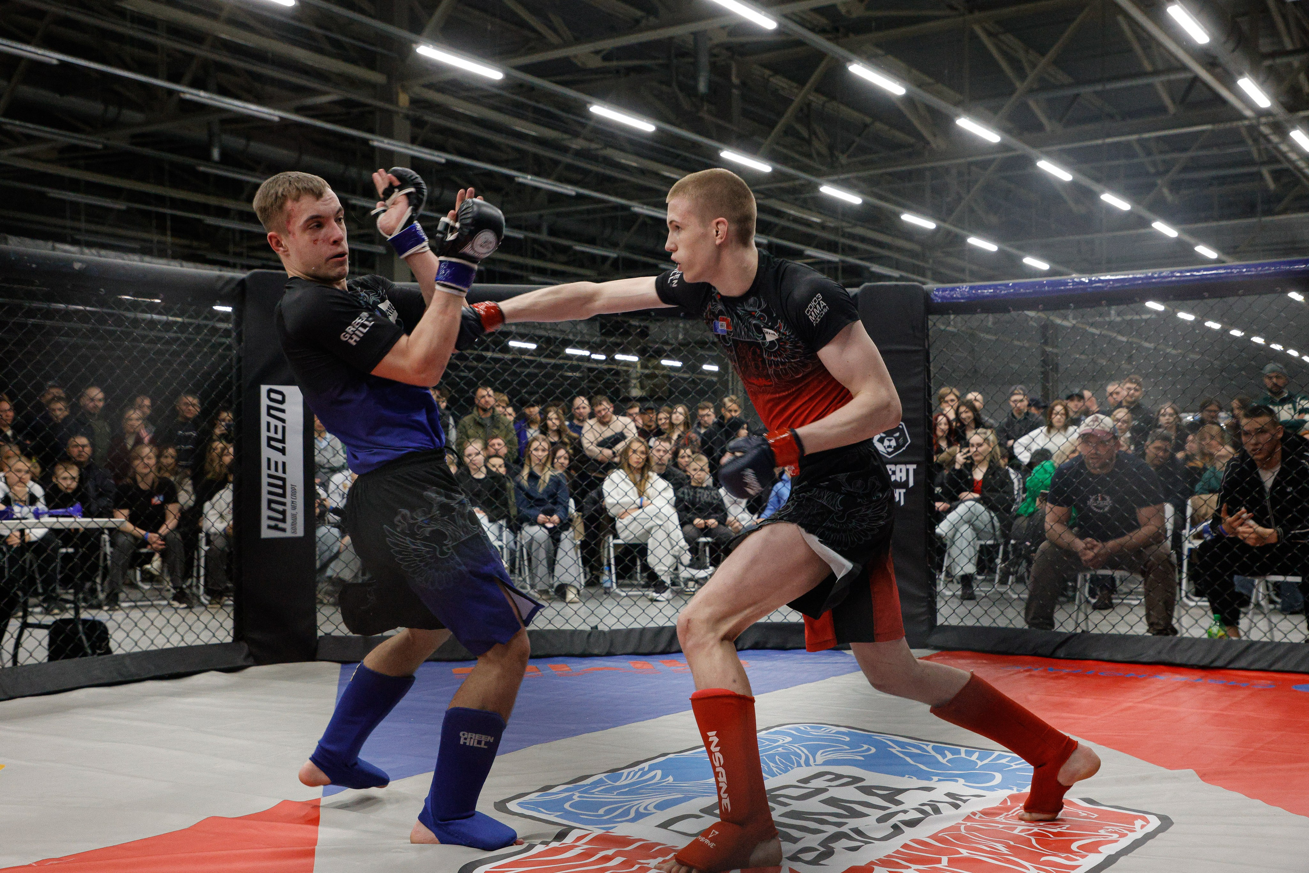 ММА Автолегион 2026. Фотограф в Новосибирске Александр Иванов