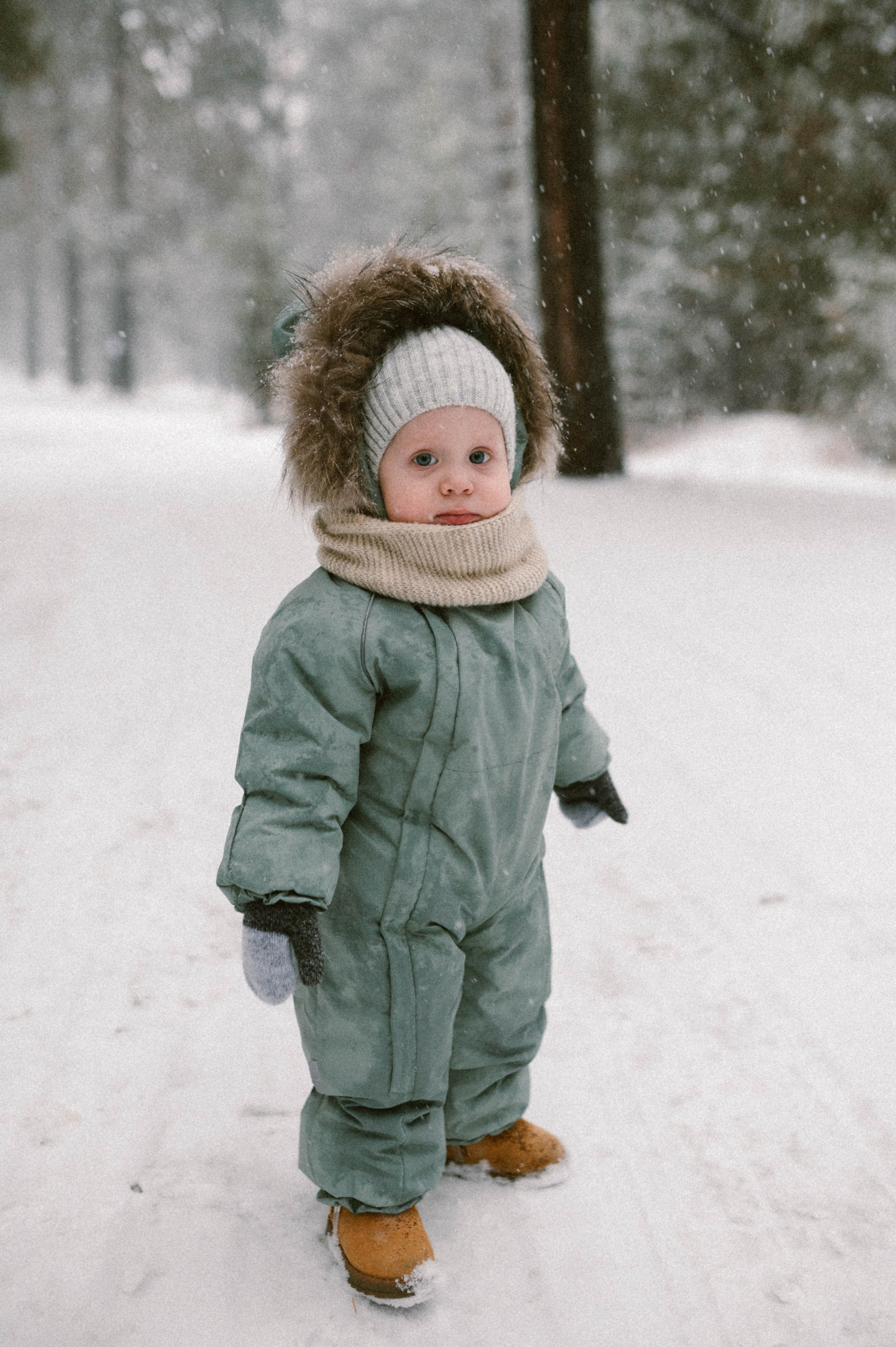 Юра, Алина и Стёпа. Свадебный и семейный фотограф в Чите Юлия Оранская