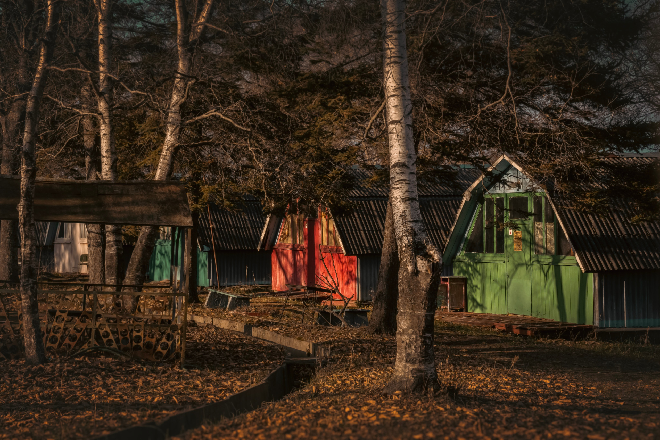 Конюшня. Семейный фотограф анималист г. Находка