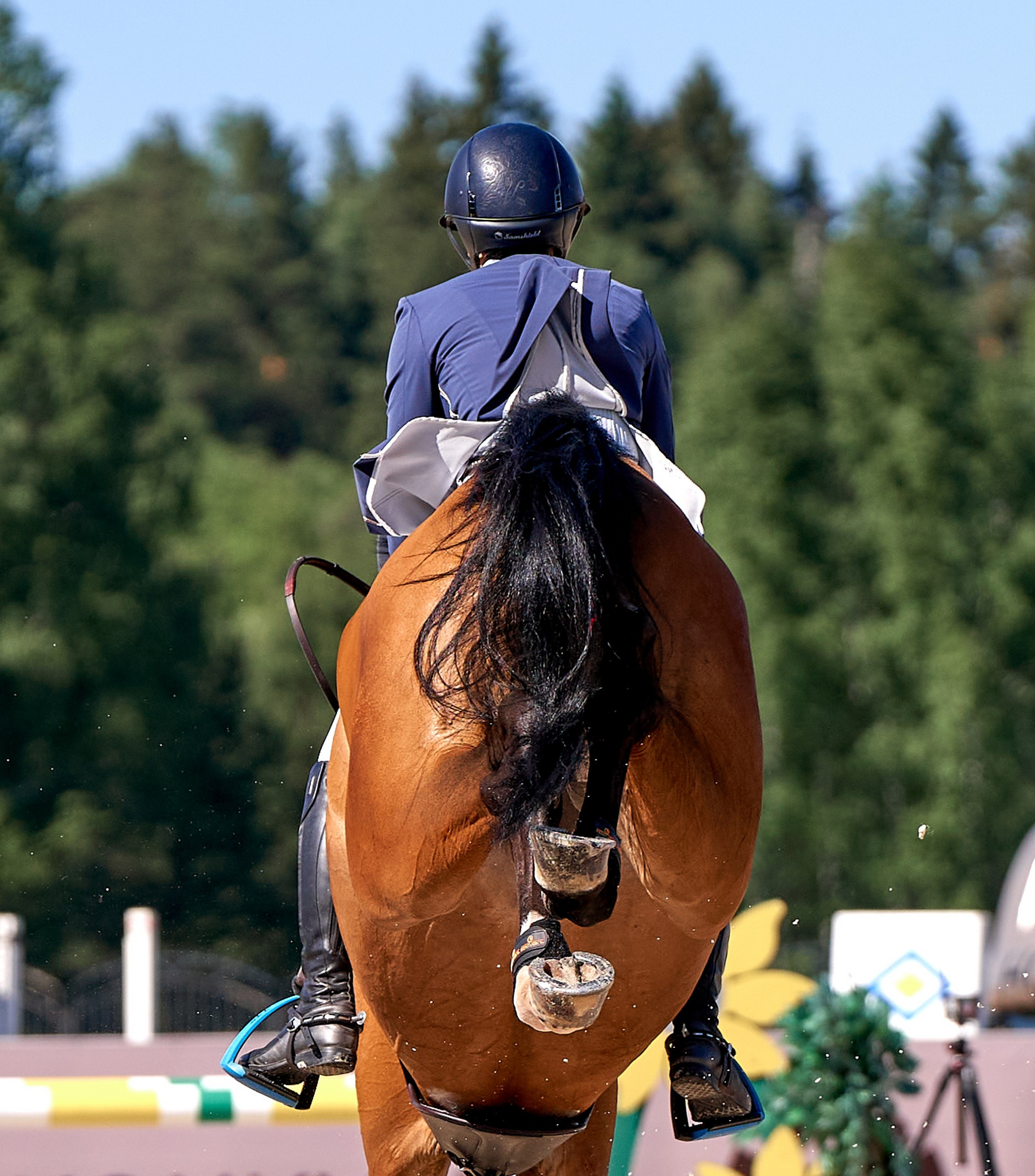 Соревнования на лошадях — галерея NATRIEL