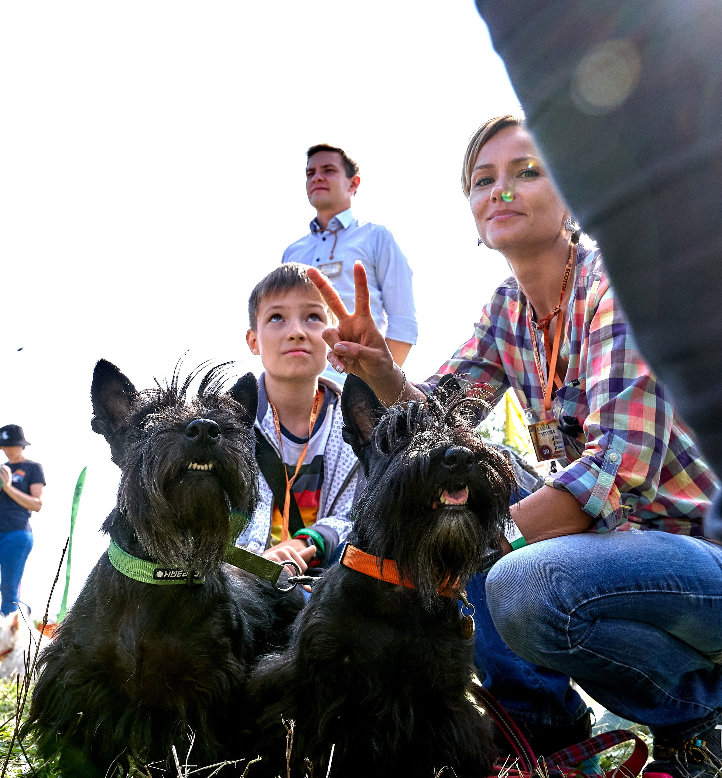 Мероприятия с собаками — галерея NATRIEL