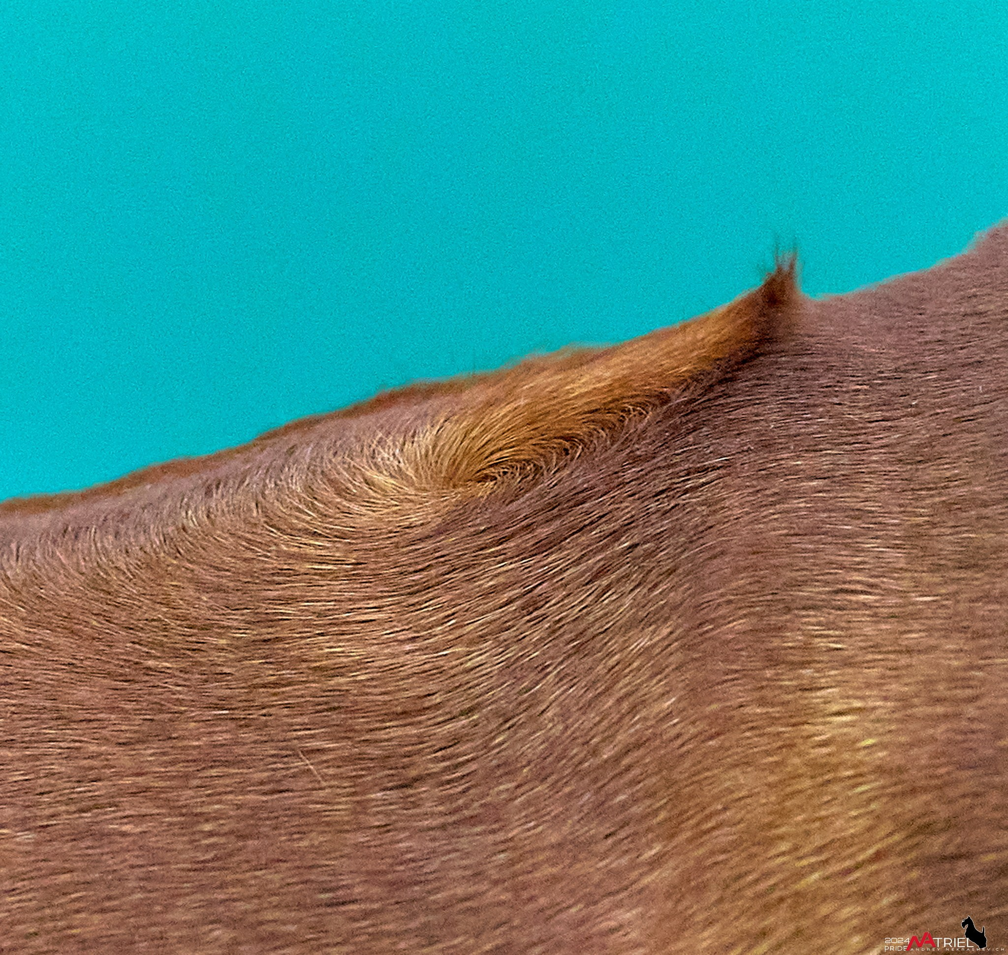 Съемка на выставке в Крокус