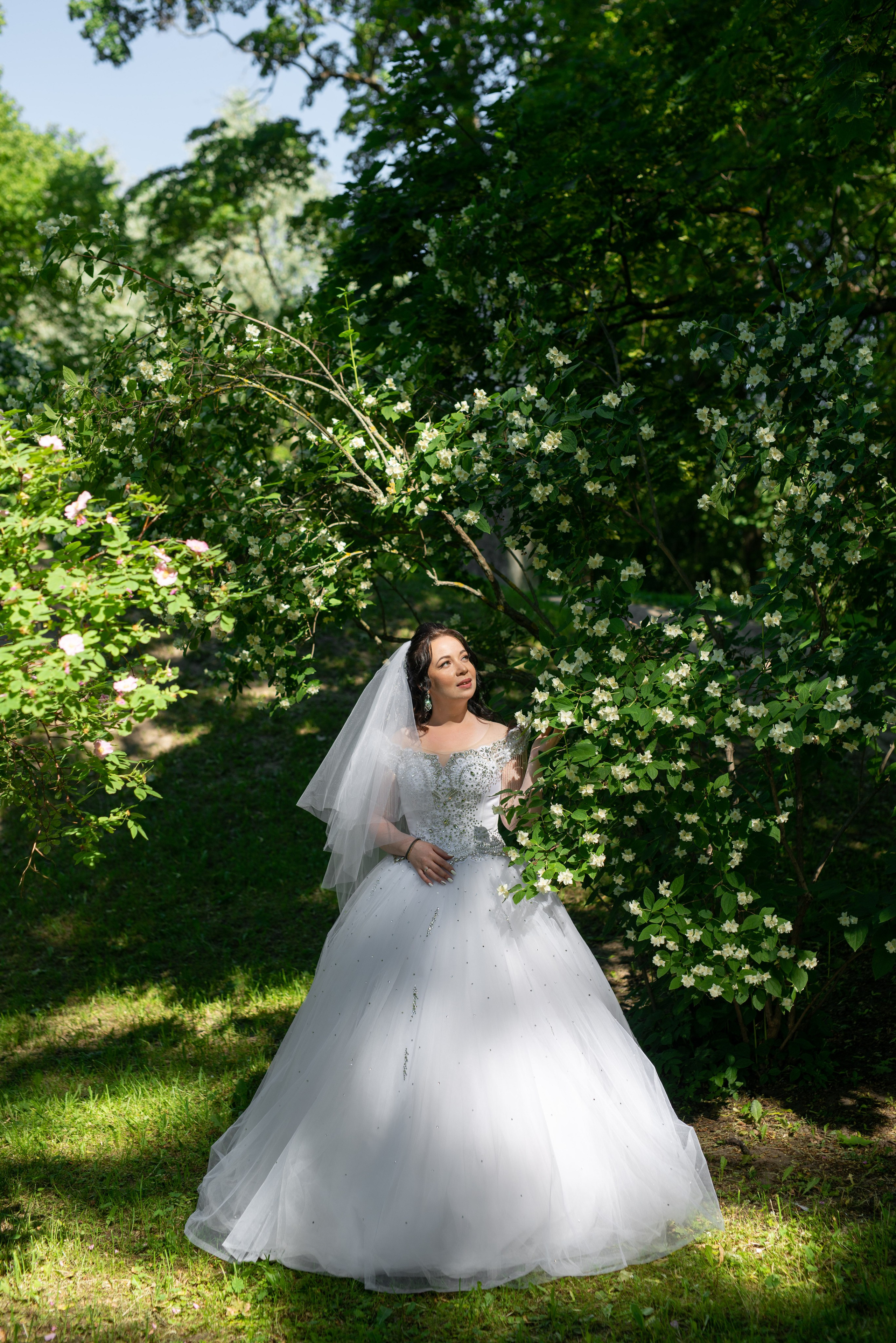 Фотосессия в Пушкине в Александровском, Екатерининском парке и Летнем саду. Портретный, семейный и свадебный фотограф в Санкт-Петербурге и в Пушкине Ширяев Денис