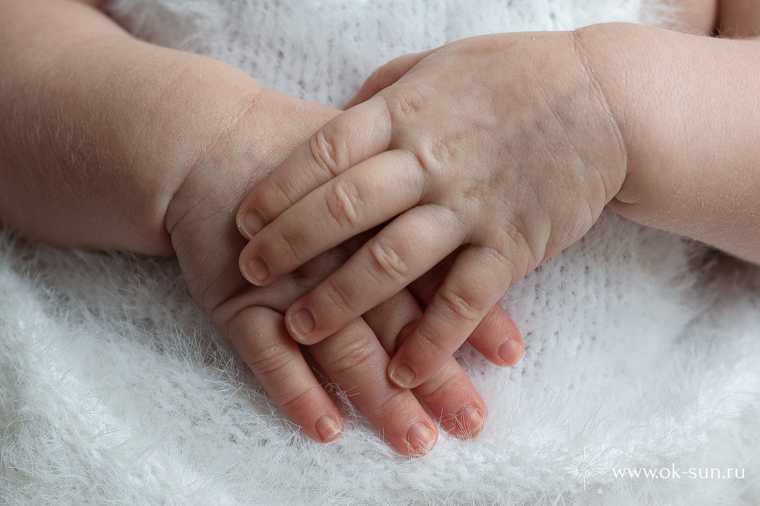 Фотосессия новорожденного Москва и Московская область