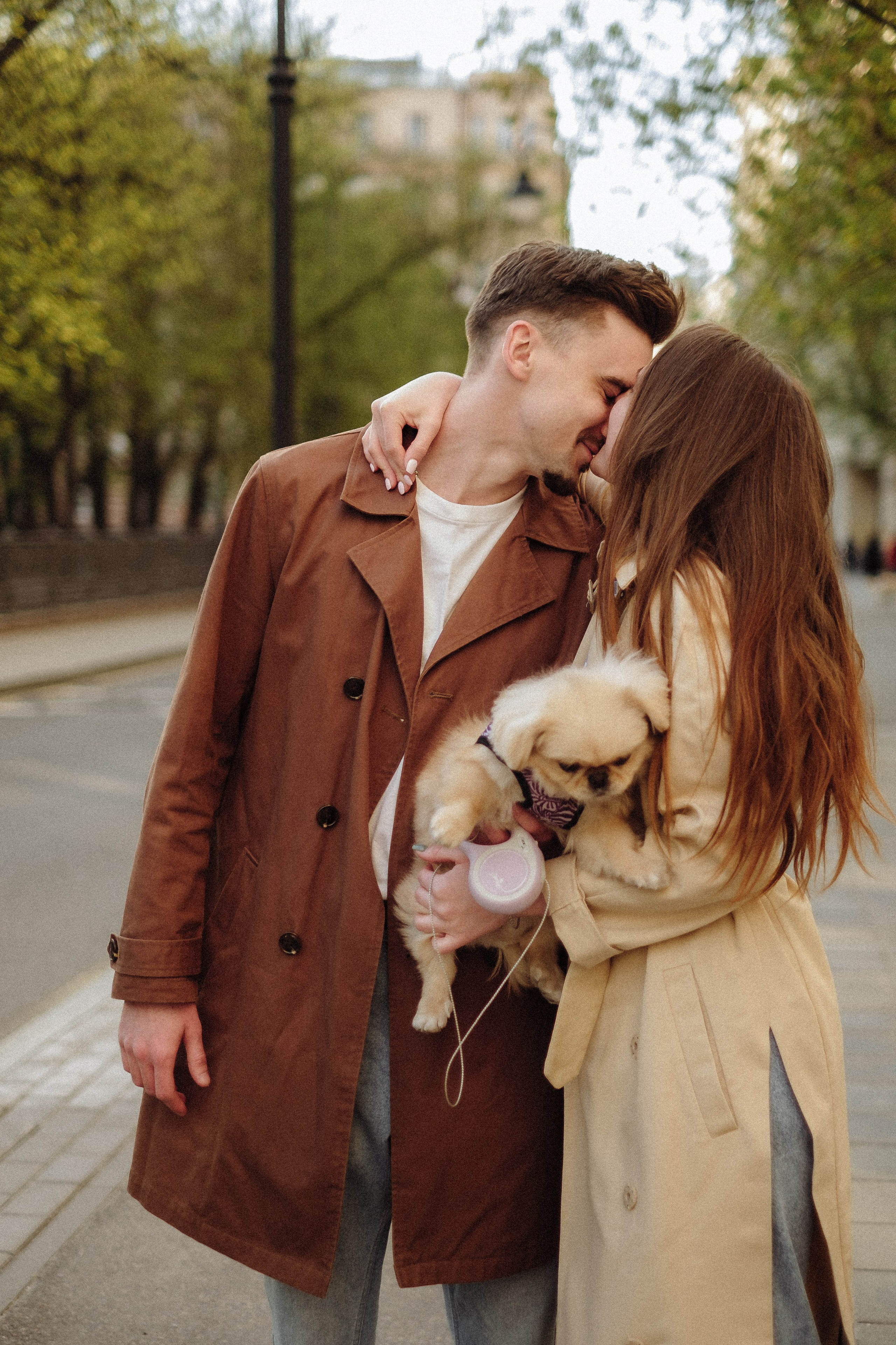 Пекинес. Свадебный и портретный фотограф в Москве, Туле и Брянске Дара Евсеева