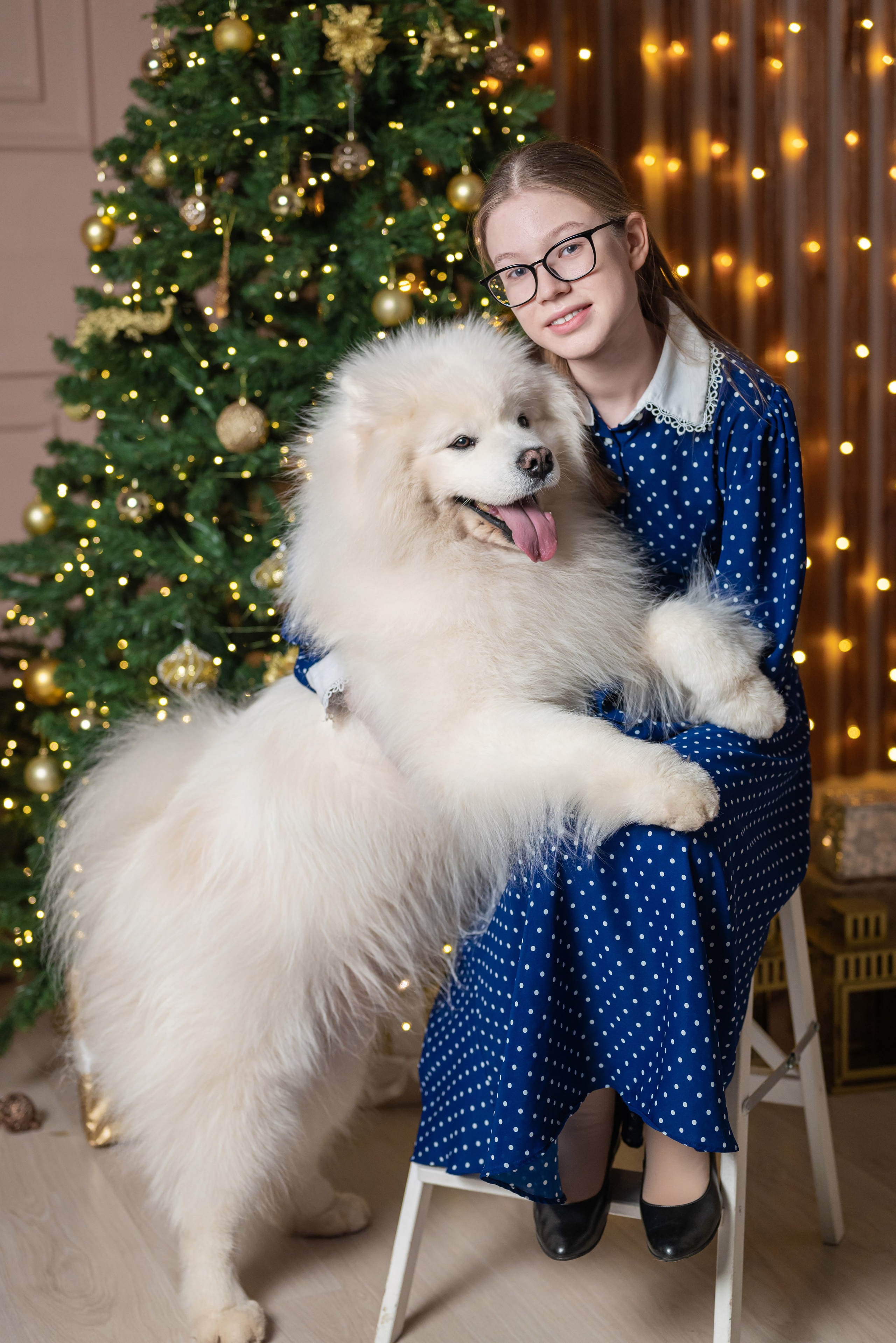 Фотопроект с самоедом 2023 г. Фотограф в городе Салават