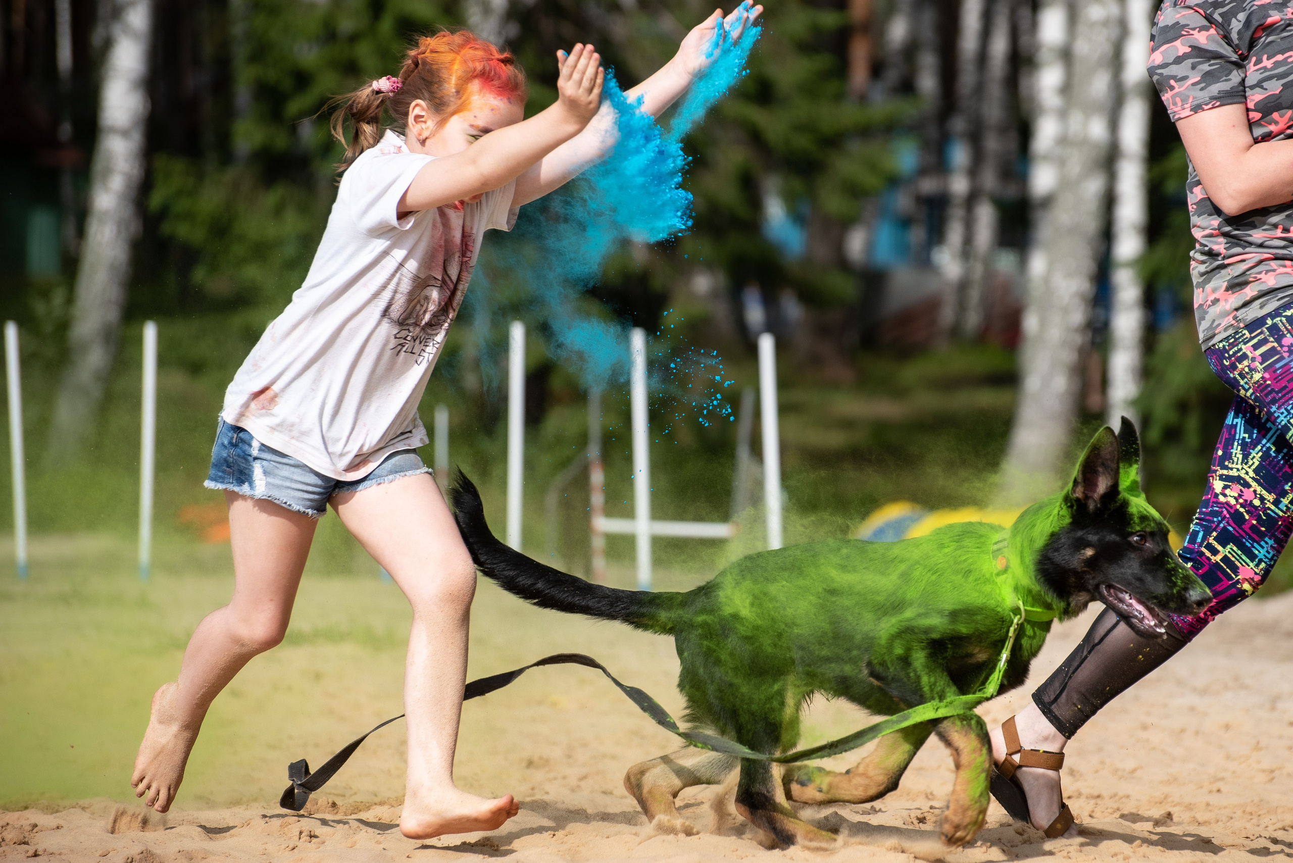 Всплеск эмоций 2023 Кинологический фестиваль. Фотограф Макс Огурцов в Нижнем Новгороде