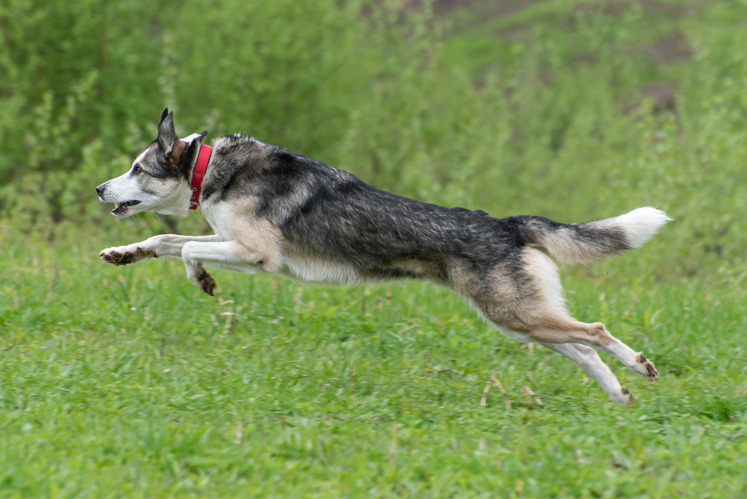 Фотографии с Курсинга. Фотограф Макс Огурцов в Нижнем Новгороде