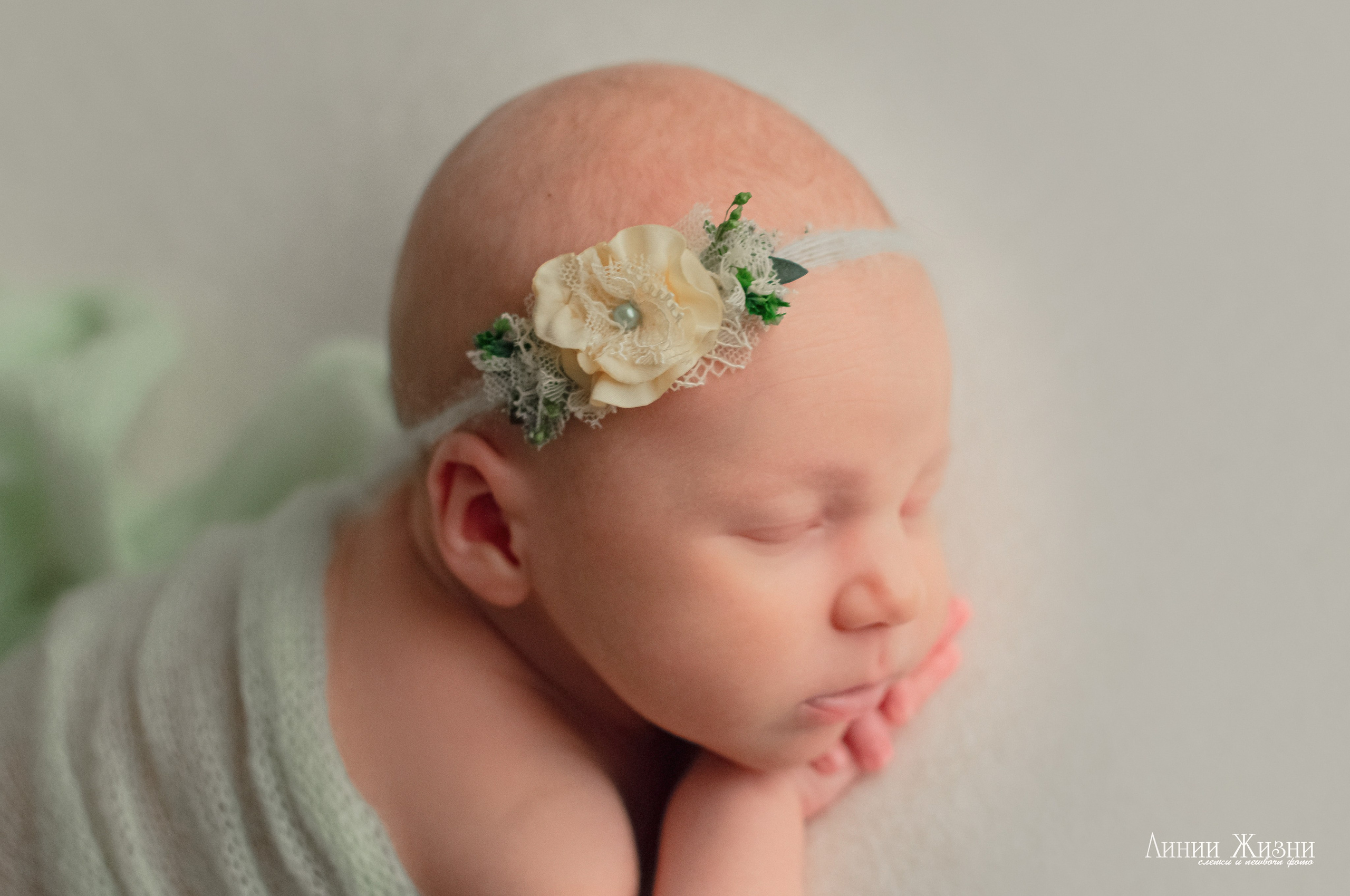 Анна 24 дня. Фотограф новорожденных в Нижнем Новгороде Сергеева Оксана