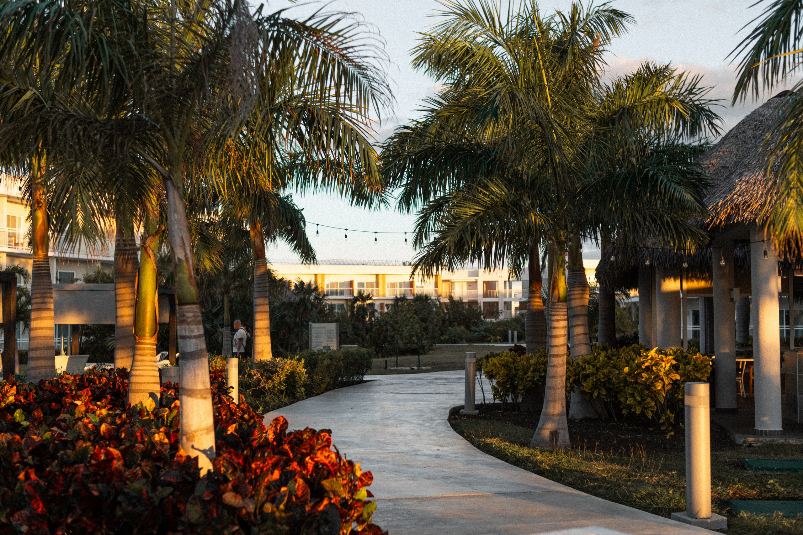 Фотограф в Анталии, фотосессии в Анталии, профессиональный фотограф Анталия, свадебный фотограф Анталия, портретная фотография Анталия, фотограф на мероприятие Анталия, семейный фотограф Анталия, фотограф на отпуск Анталия, фотография недвижимости Анталия, аэрофотосъёмка Анталия, пляжная фотосессия Анталия, фотограф на помолвку Анталия, фотография беременности Анталия, фотограф для новорождённых Анталия, фотограф для путешествий Анталия, коммерческая фотография Анталия, фотограф для деловых портретов Анталия, фэшн фотограф Анталия, портреты выпускников Анталия, лайфстайл фотография Анталия