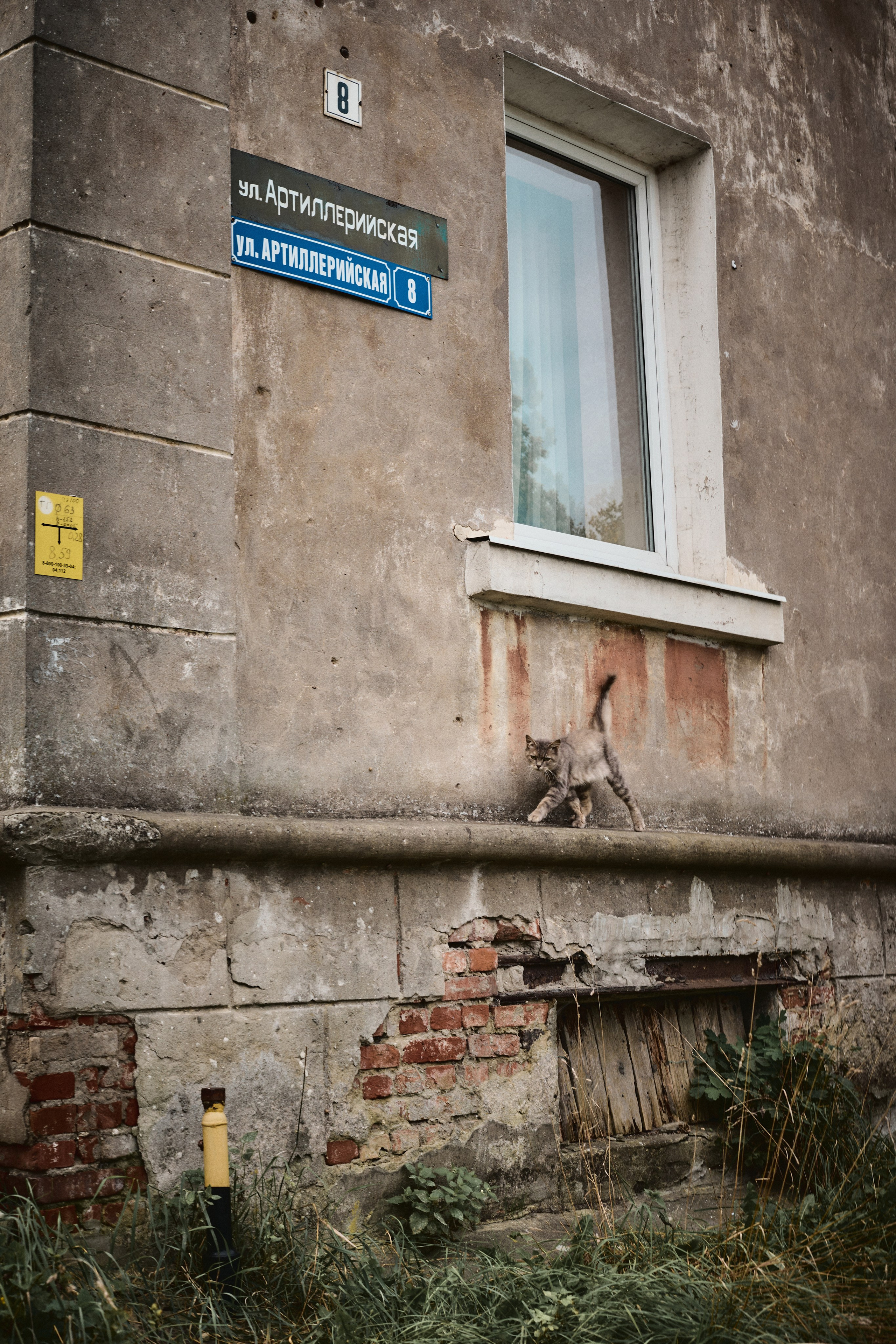 Kaliningrad 2025. Лиза Сытикова. Фотограф. Москва