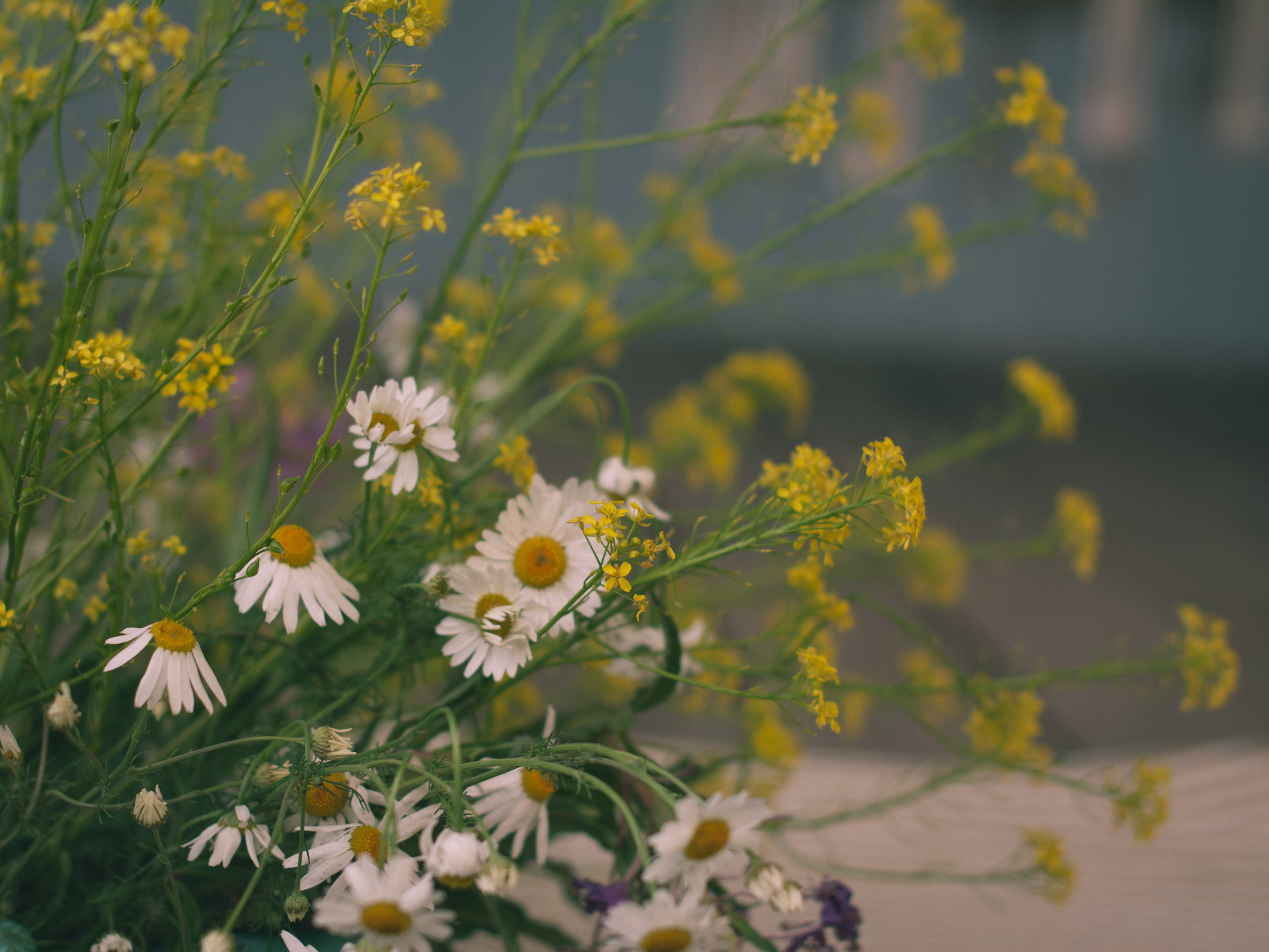 Наталья & Антон. Семейный и детский фотограф в Екатеринбурге Валерия Нагибина