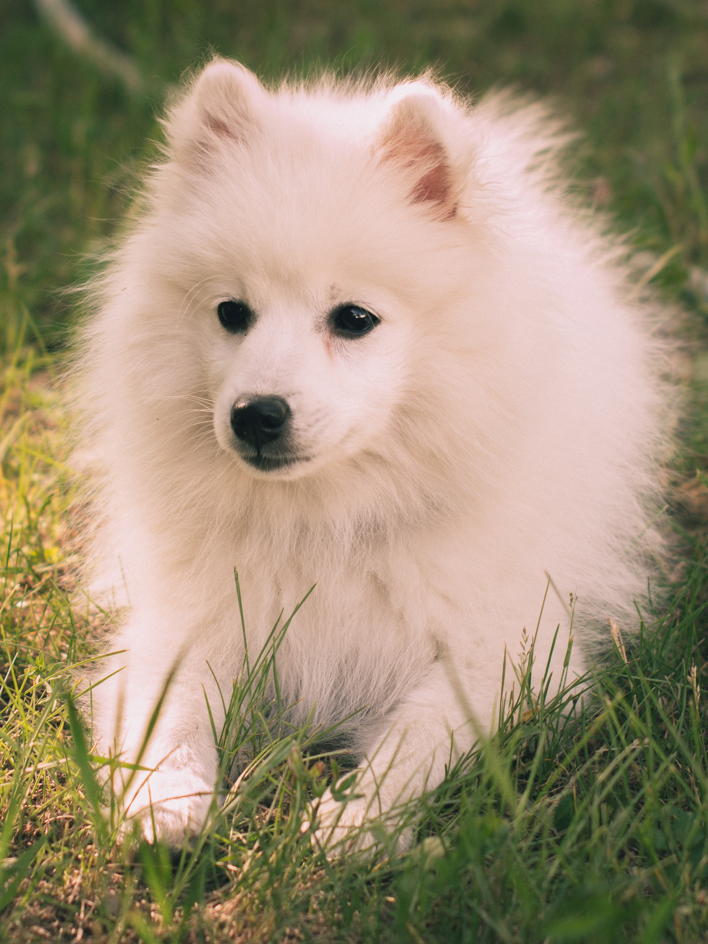 Наталья & Антон. Семейный и детский фотограф в Екатеринбурге Валерия Нагибина
