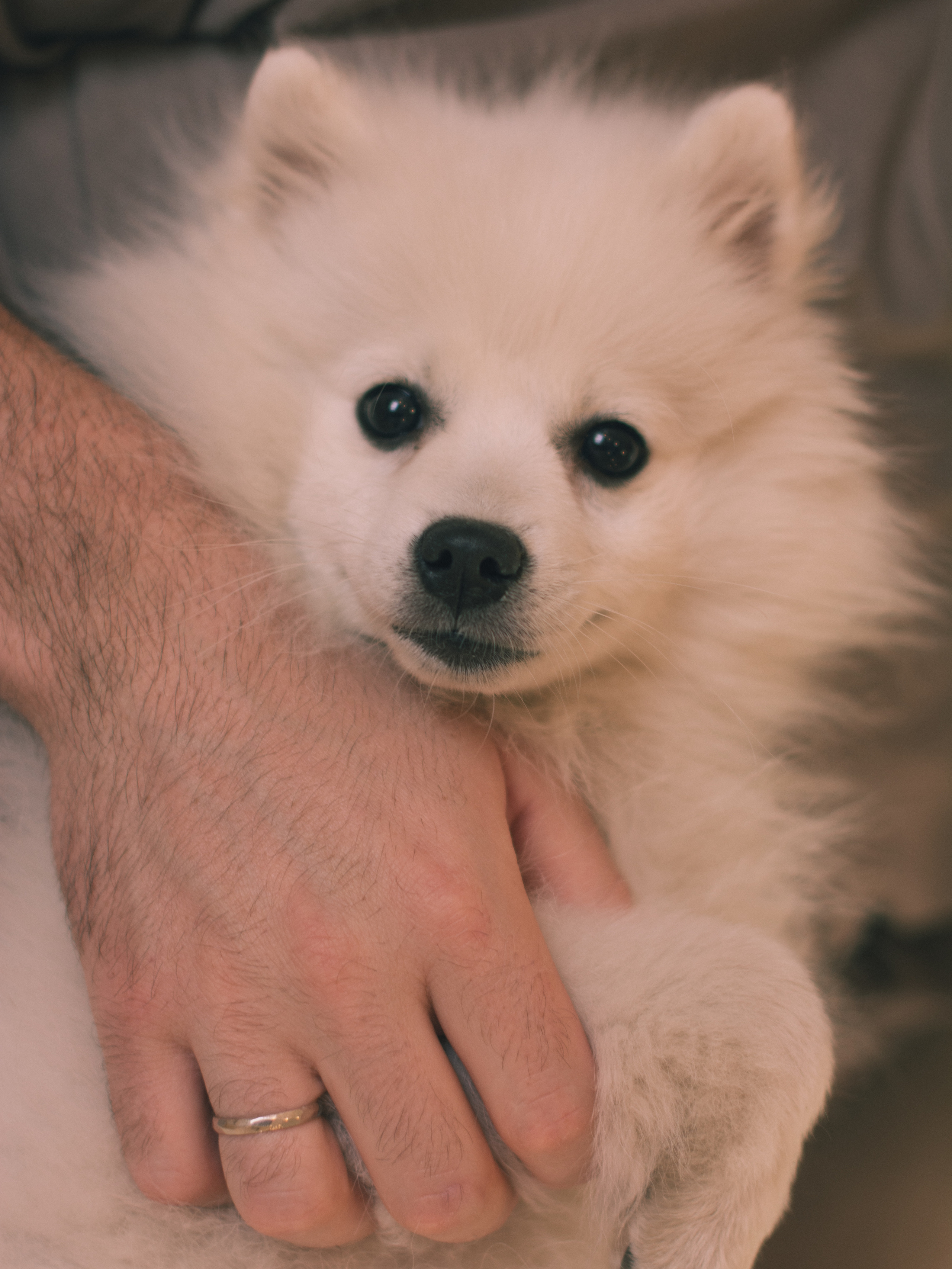 Наталья & Антон. Семейный и детский фотограф в Екатеринбурге Валерия Нагибина