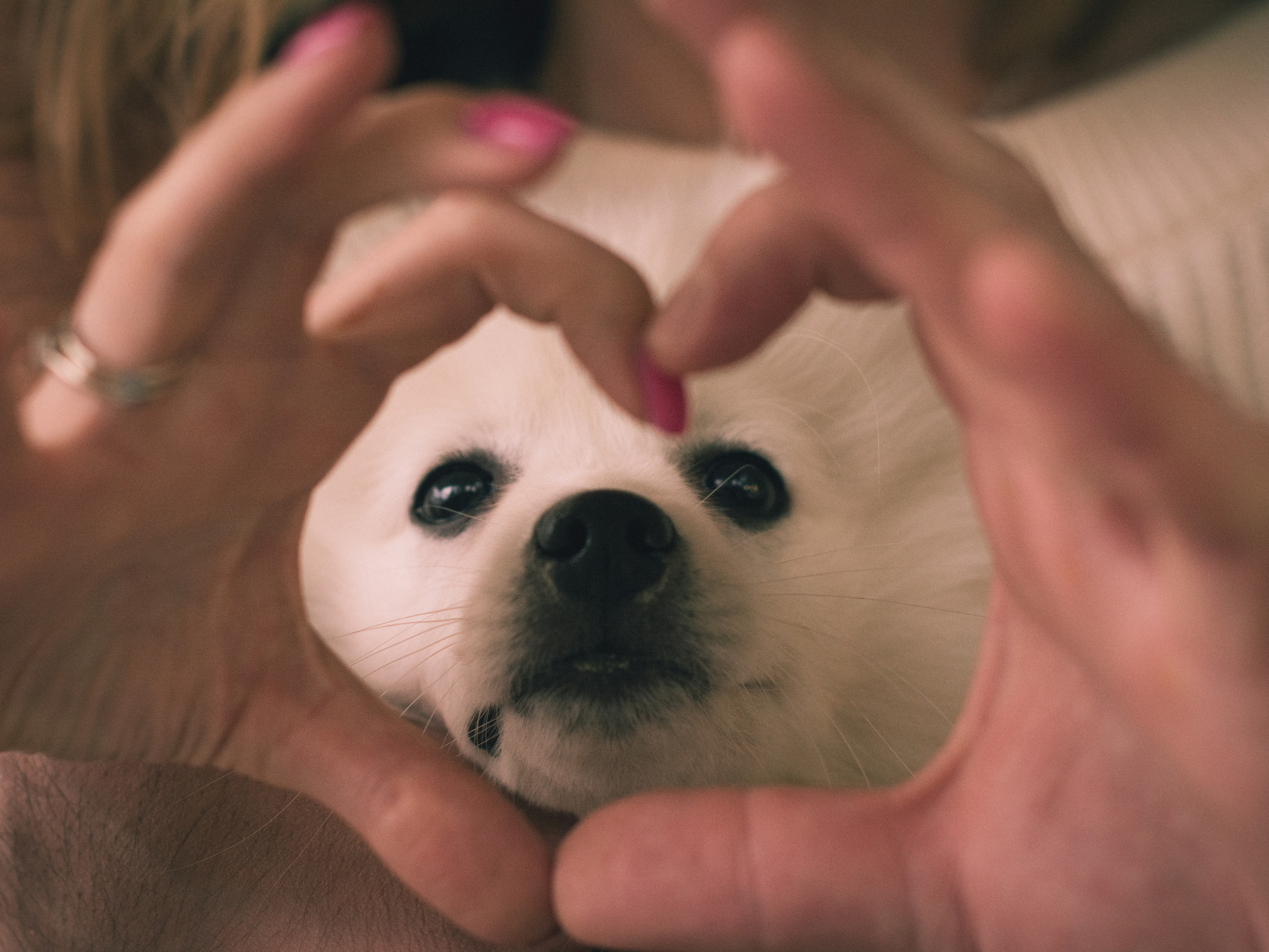 Наталья & Антон. Семейный и детский фотограф в Екатеринбурге Валерия Нагибина