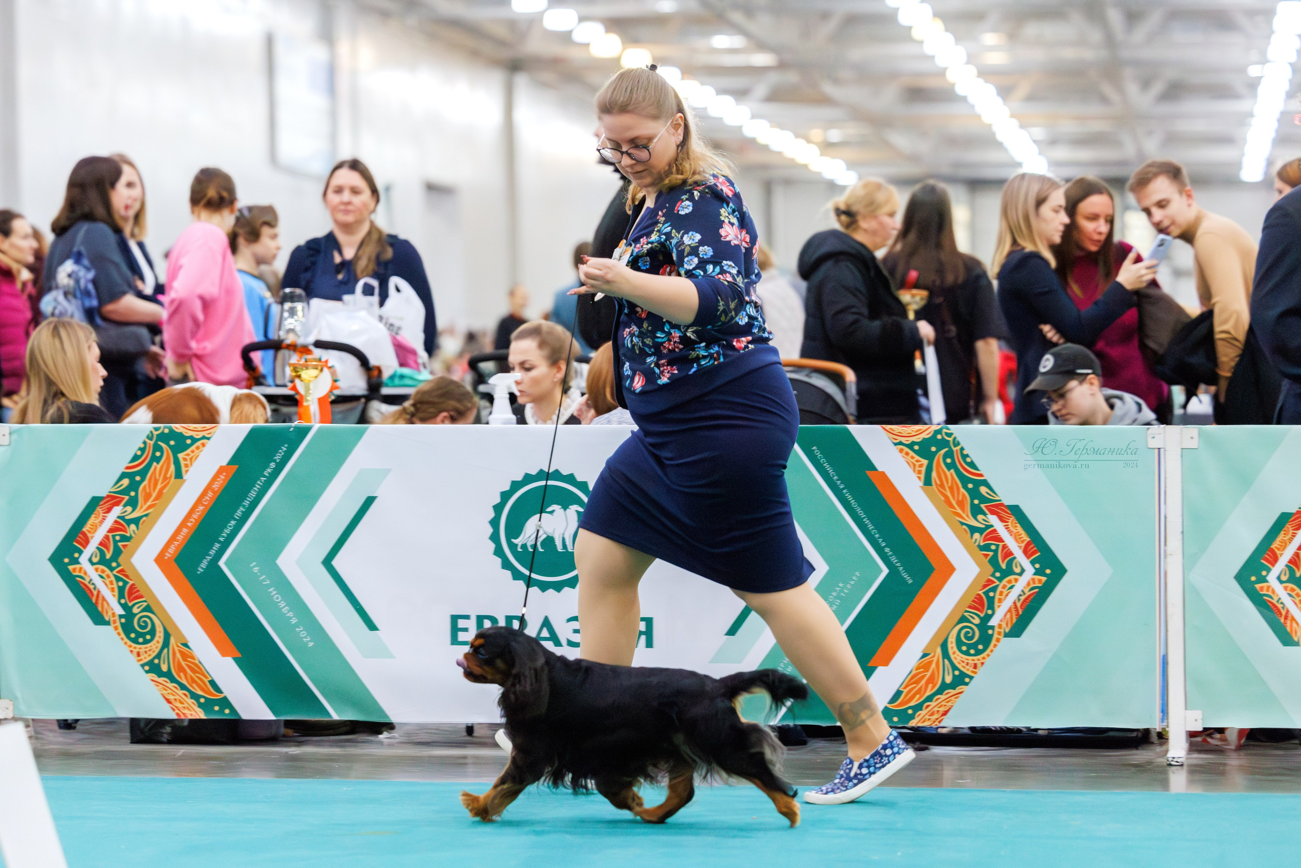 Евразия 16-17.11.2024. Фотограф-анималист Юлия Германика