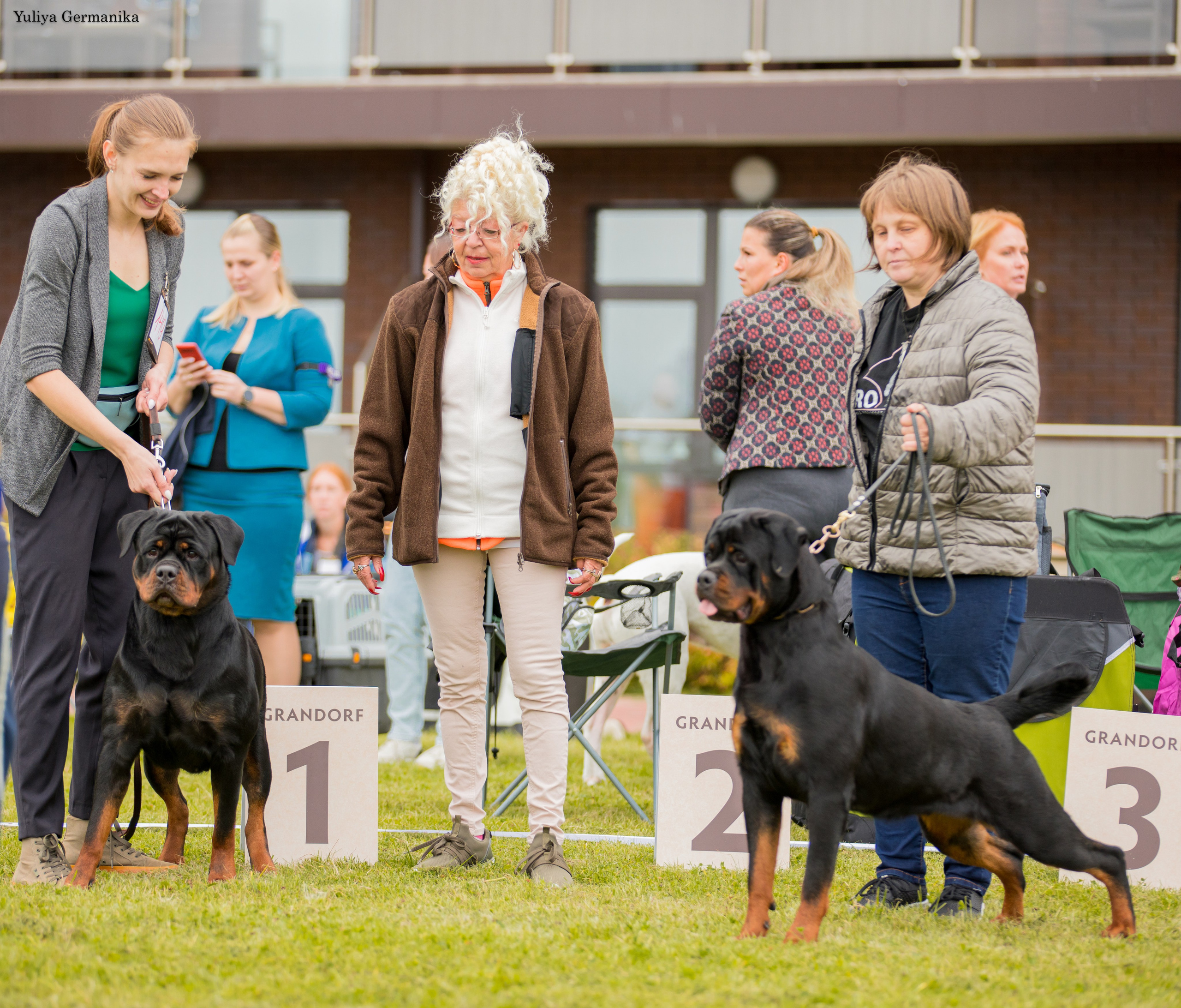 Переславль 9-10.09.2023. Фотограф-анималист Юлия Германика
