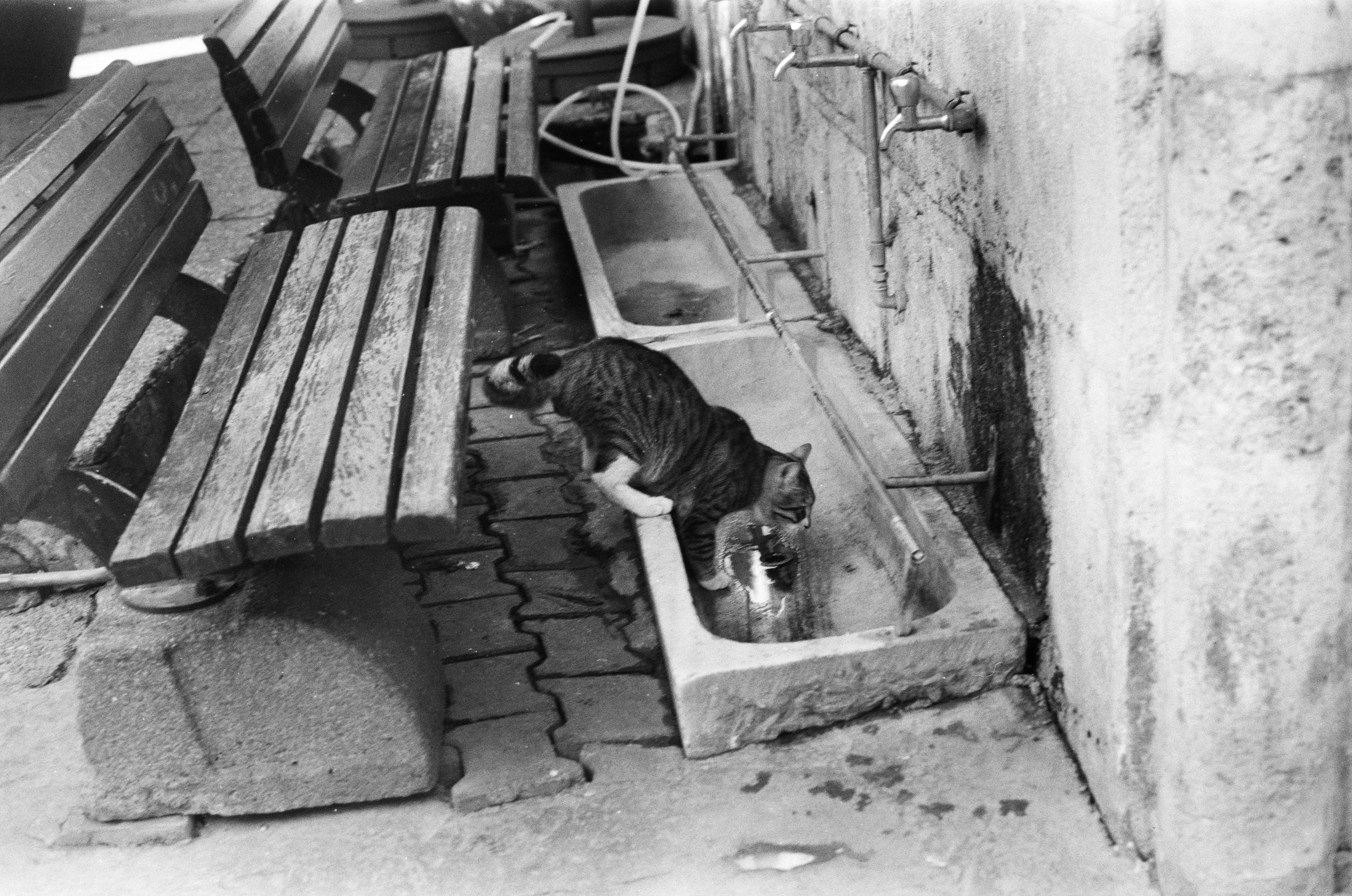 Complicated // turkey, istanbul V. EVER EXPOSED