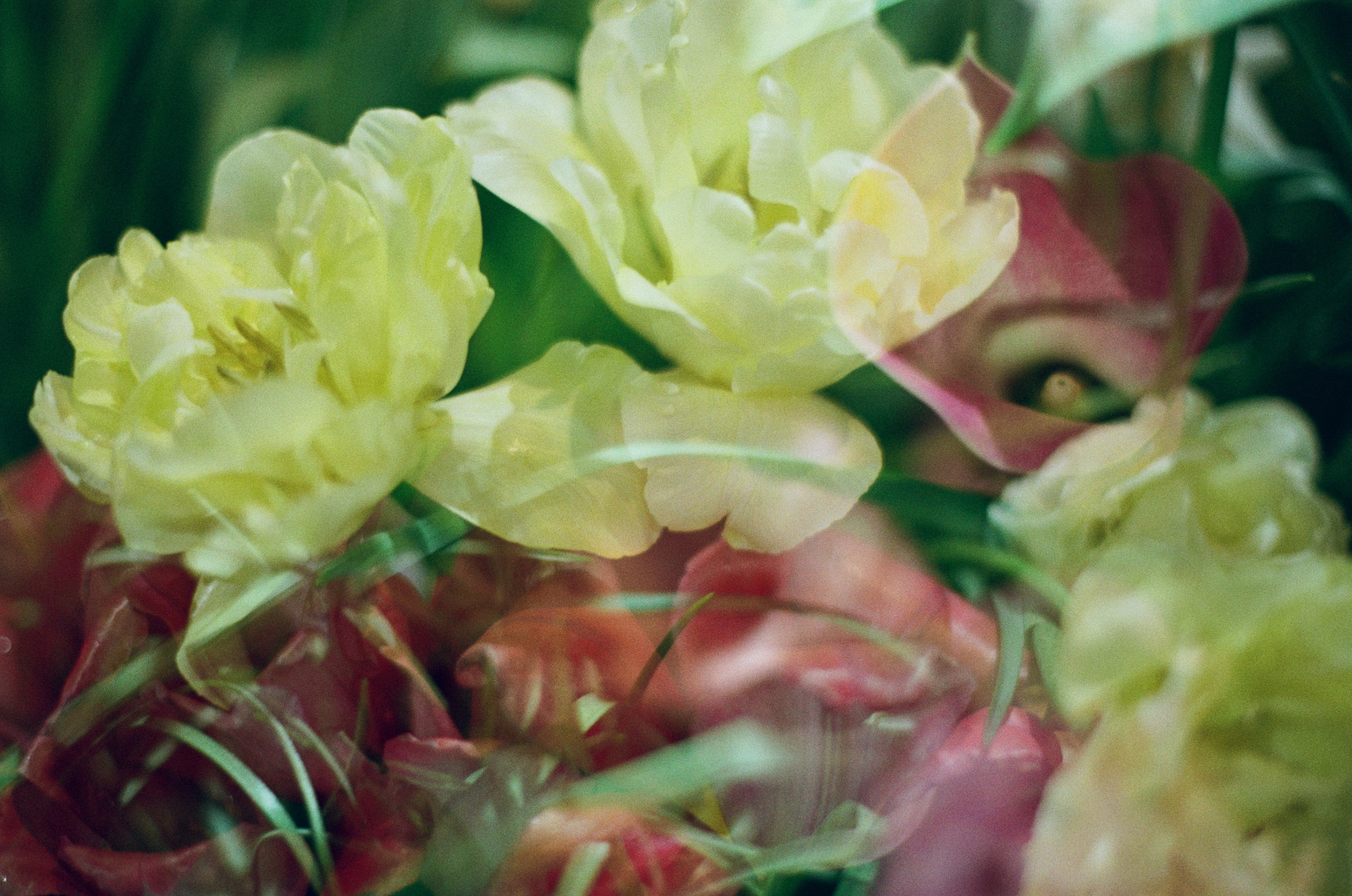 If i get high V. EVER EXPOSED