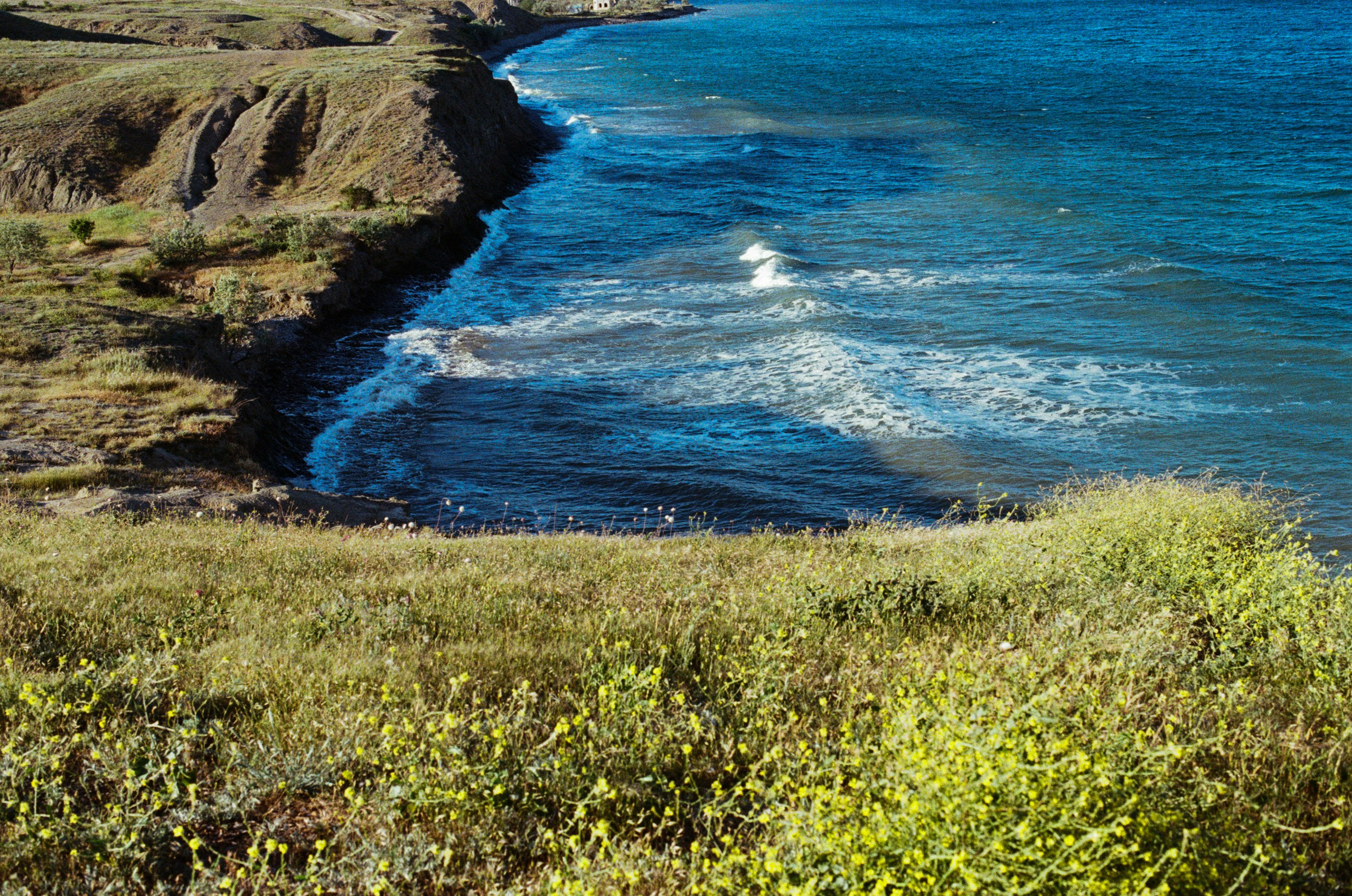 Kool-aid // ukraine, crimea VII. EVER EXPOSED