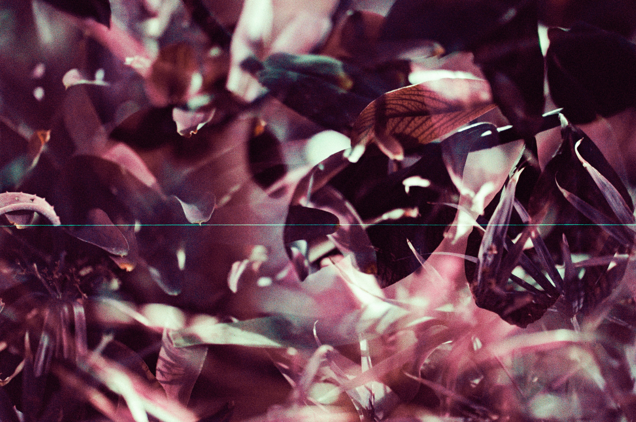 Pain shopping // ukraine, crimea II. EVER EXPOSED