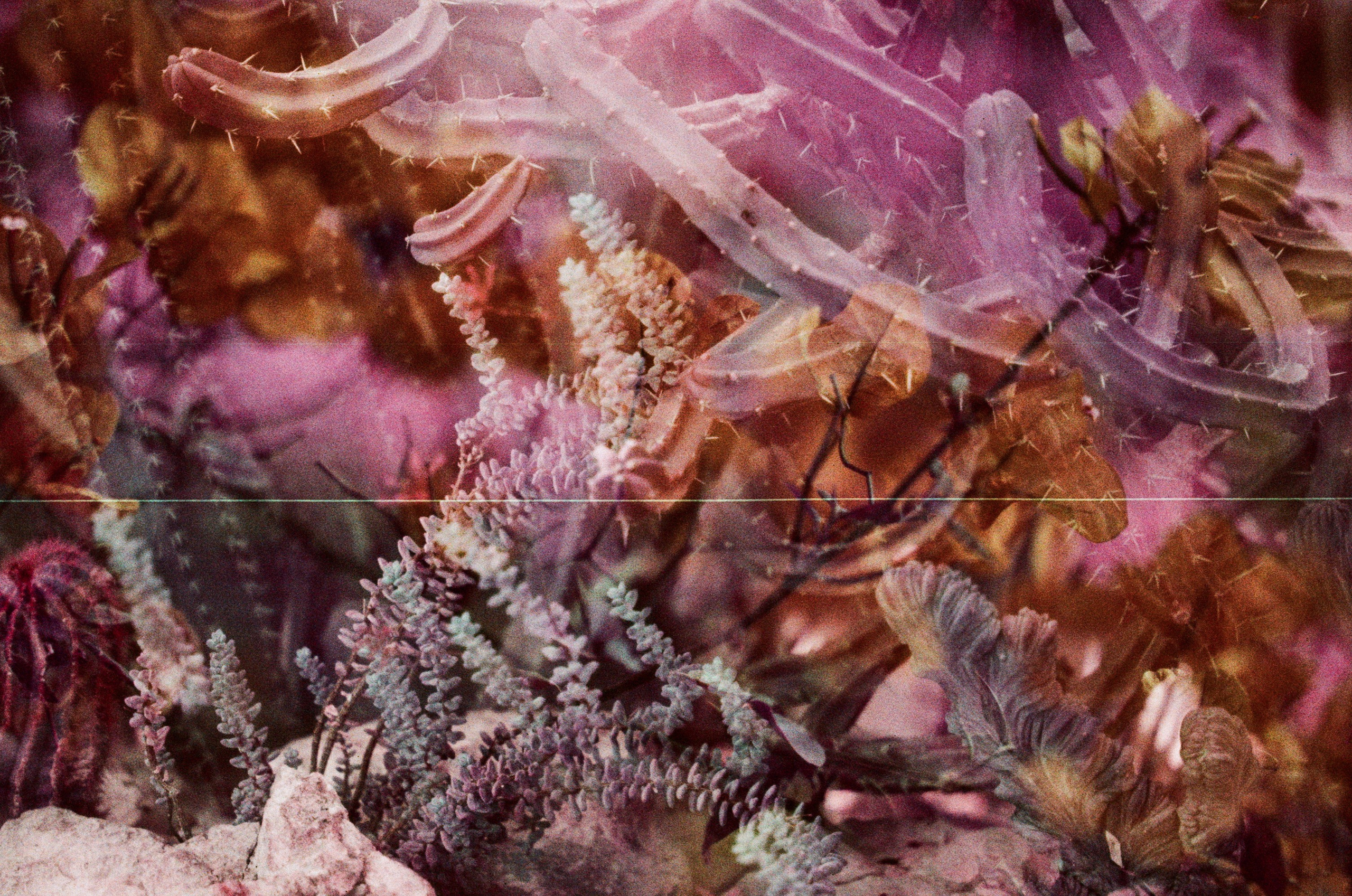 Pain shopping // ukraine, crimea II. EVER EXPOSED