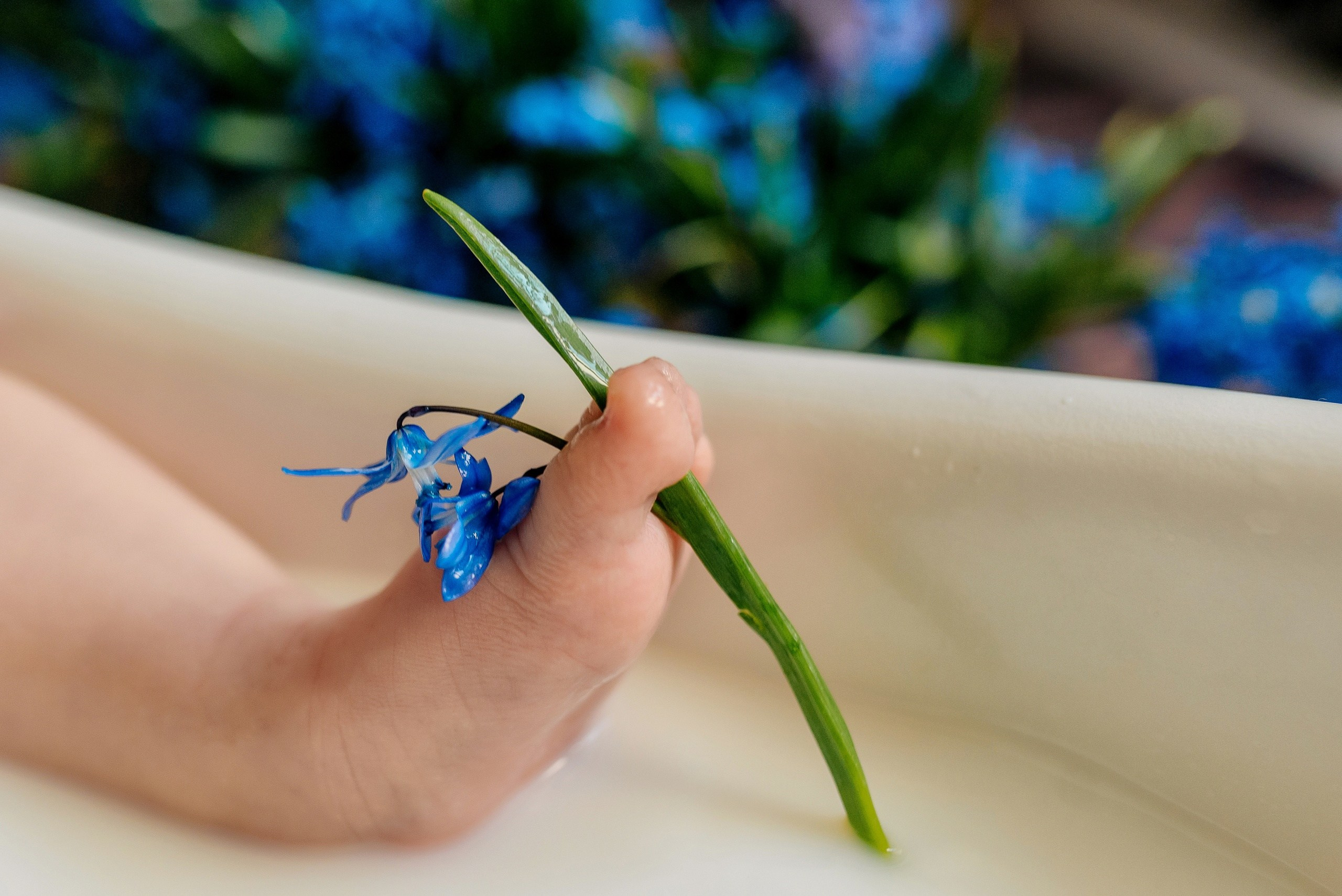 Детские молочные ванночки. Меркулова Ольга фотограф Воронеж