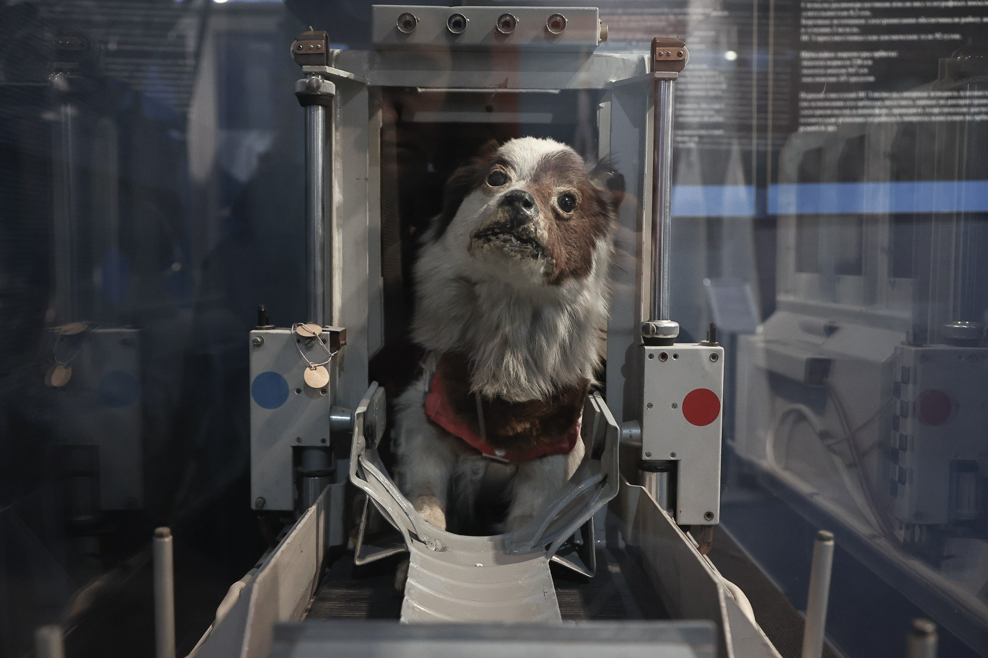 Хранители космоса. Shatohina.com