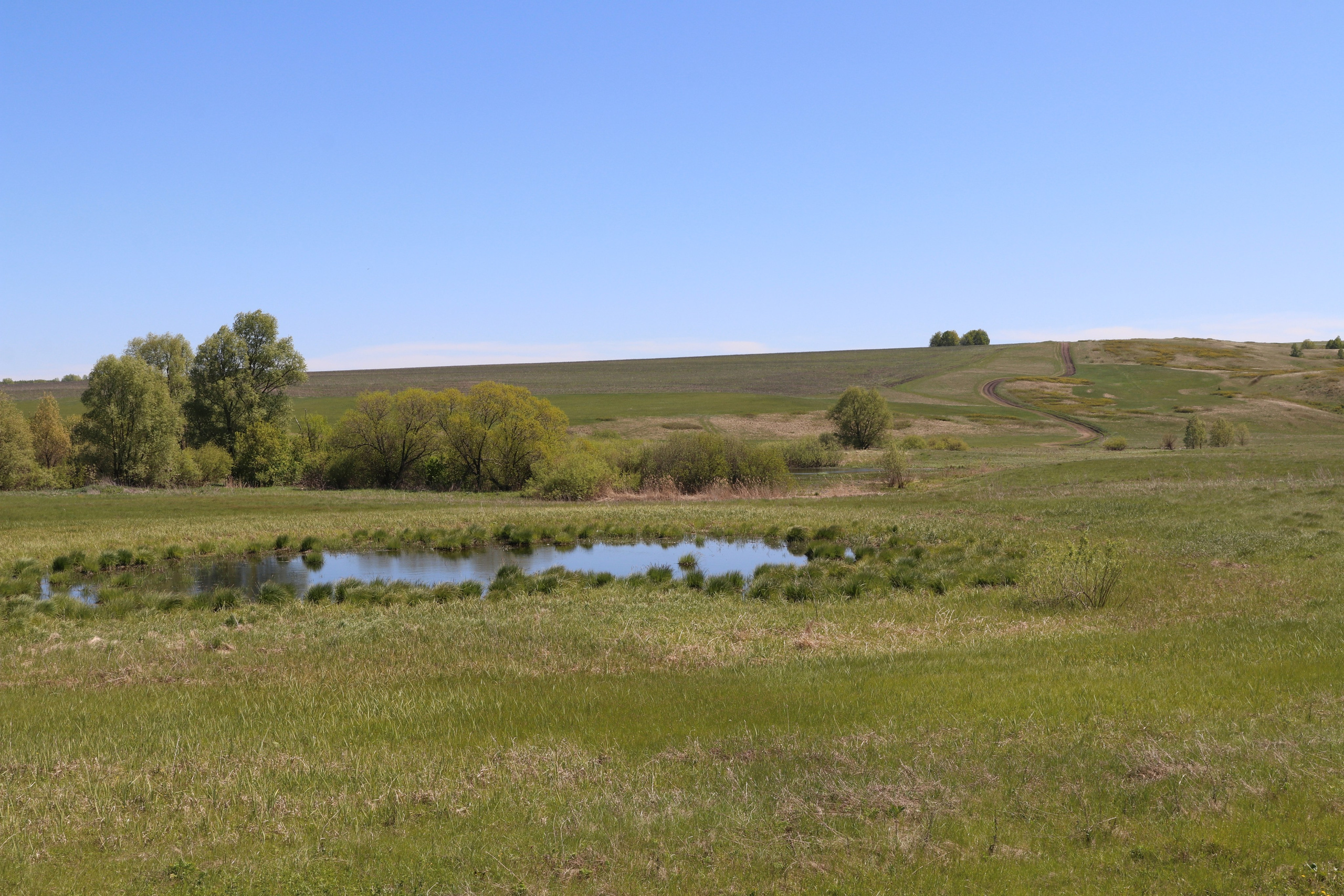 Велопоход Уфа — Мелеуз. Май 2024. Путешественник-фотограф из Санкт-Петербурга Татьяна Свистулина