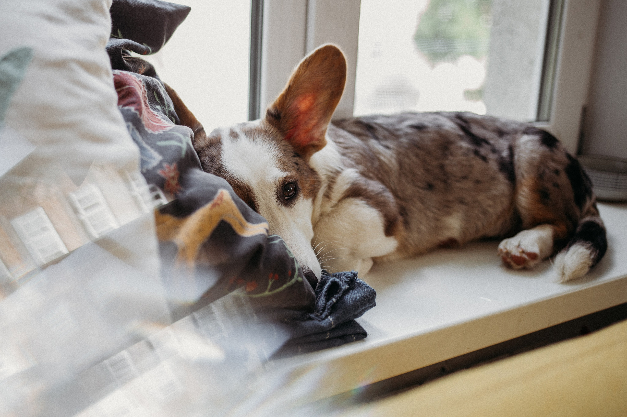 Ксюша, Жан и Марципан. Семейный фотограф в Самаре