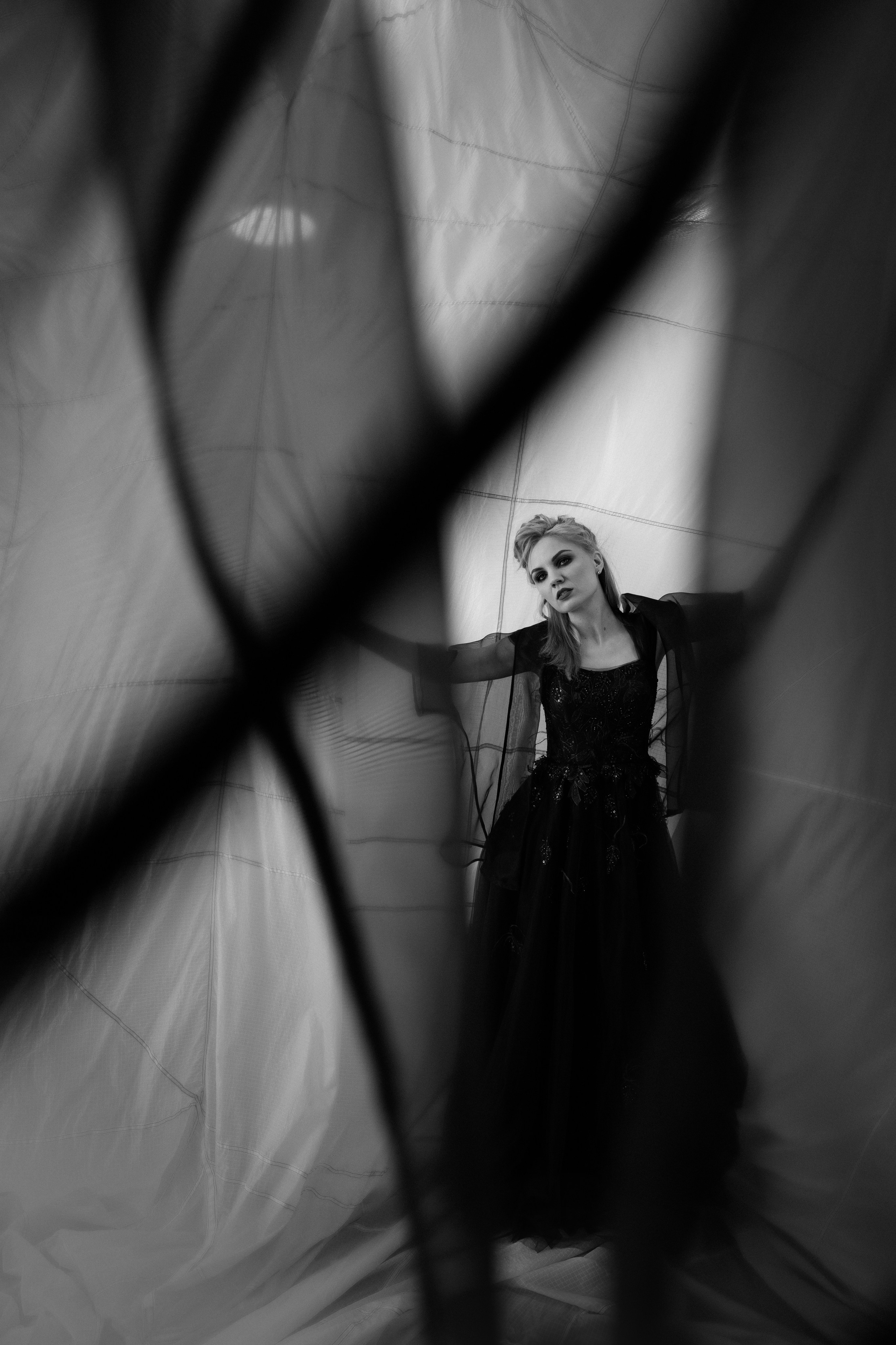 Black swan. Фотограф Сергеева Анна