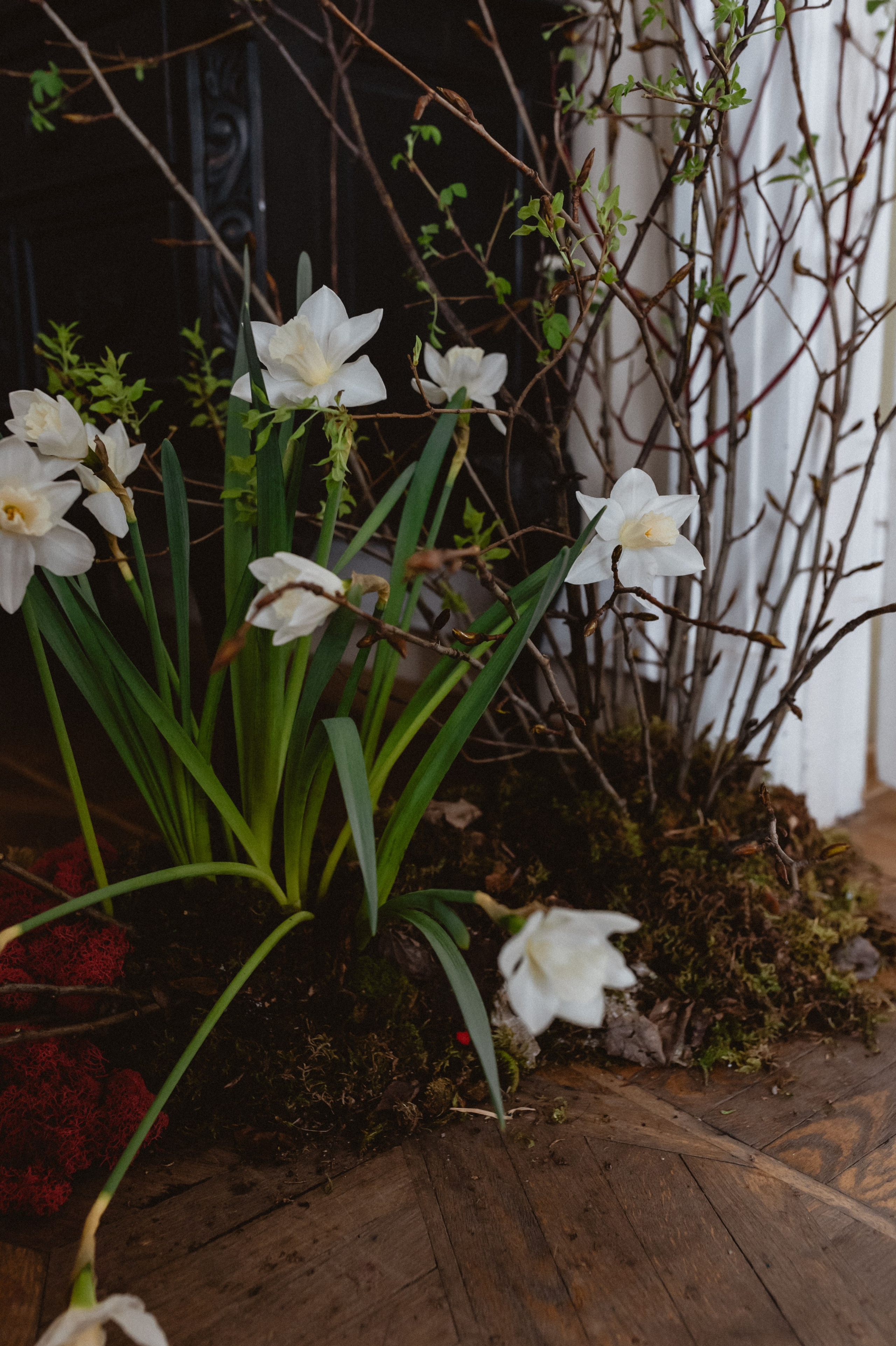 Эрнест & Аня. Оформление свадеб, декор свадеб Вера Маркова, Москва