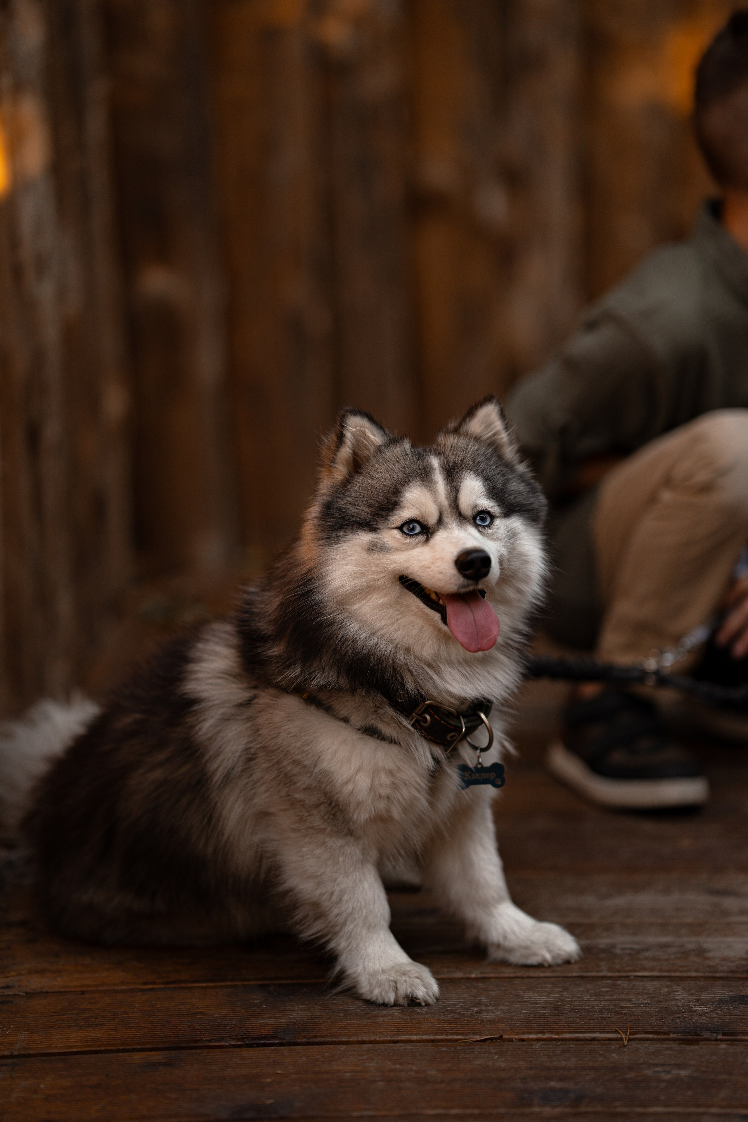 Семейная и детская сьемка. Семейный и портретный фотограф в Санкт-Петербурге Татьяна Гримоть