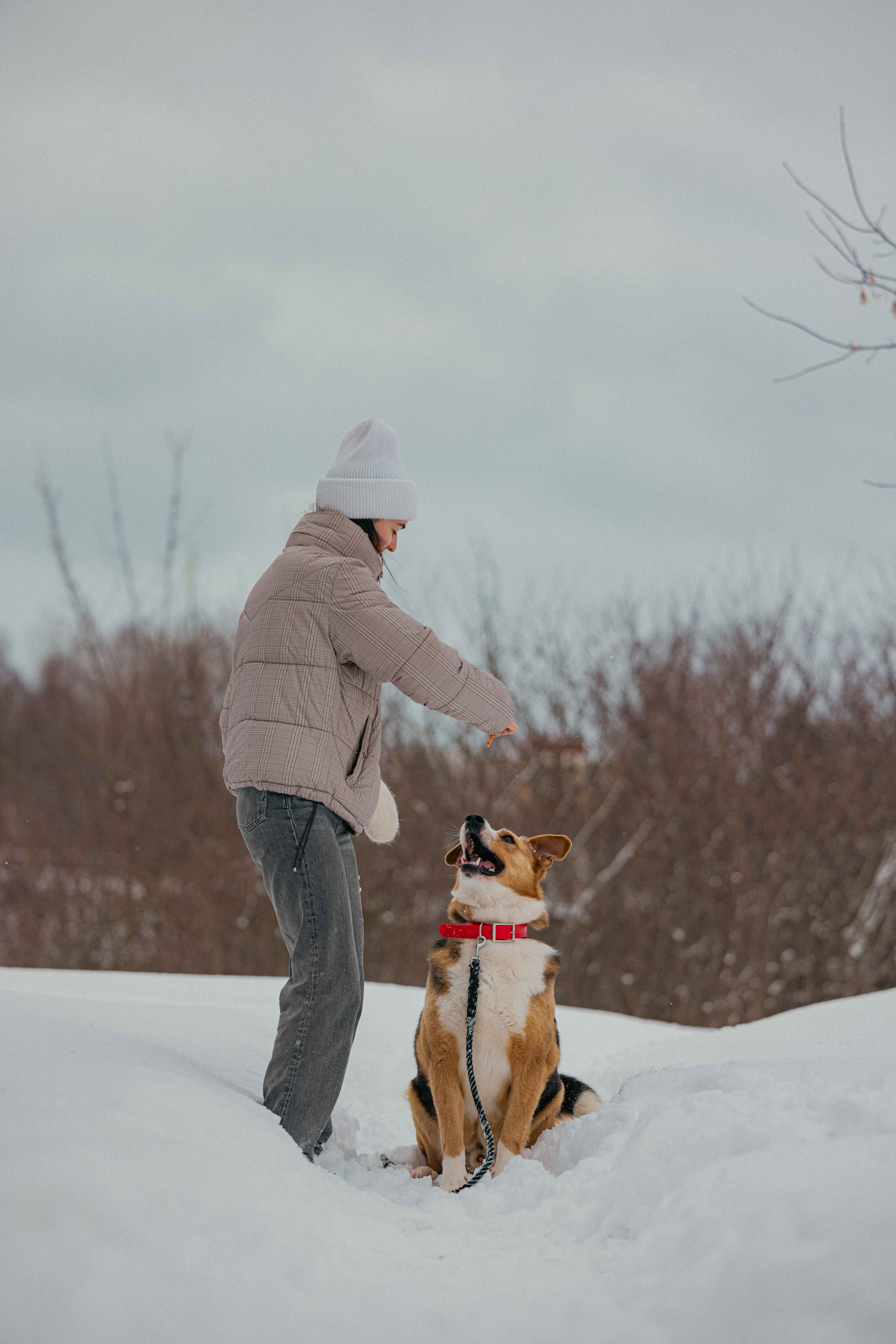 Петя. Фотограф-анималист в Москве Лера Черноног