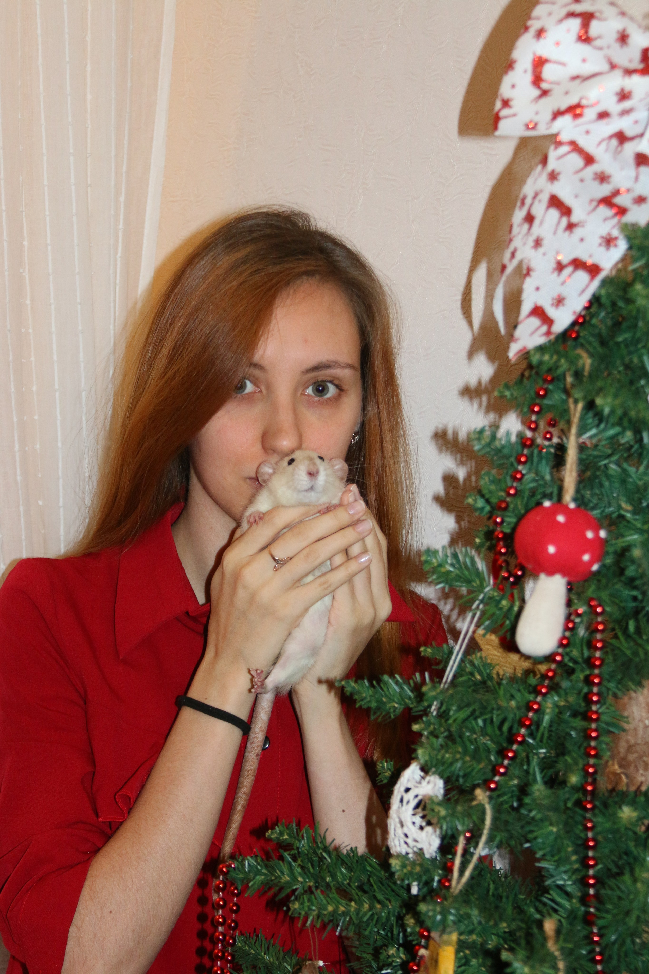 Съемка с питомцем