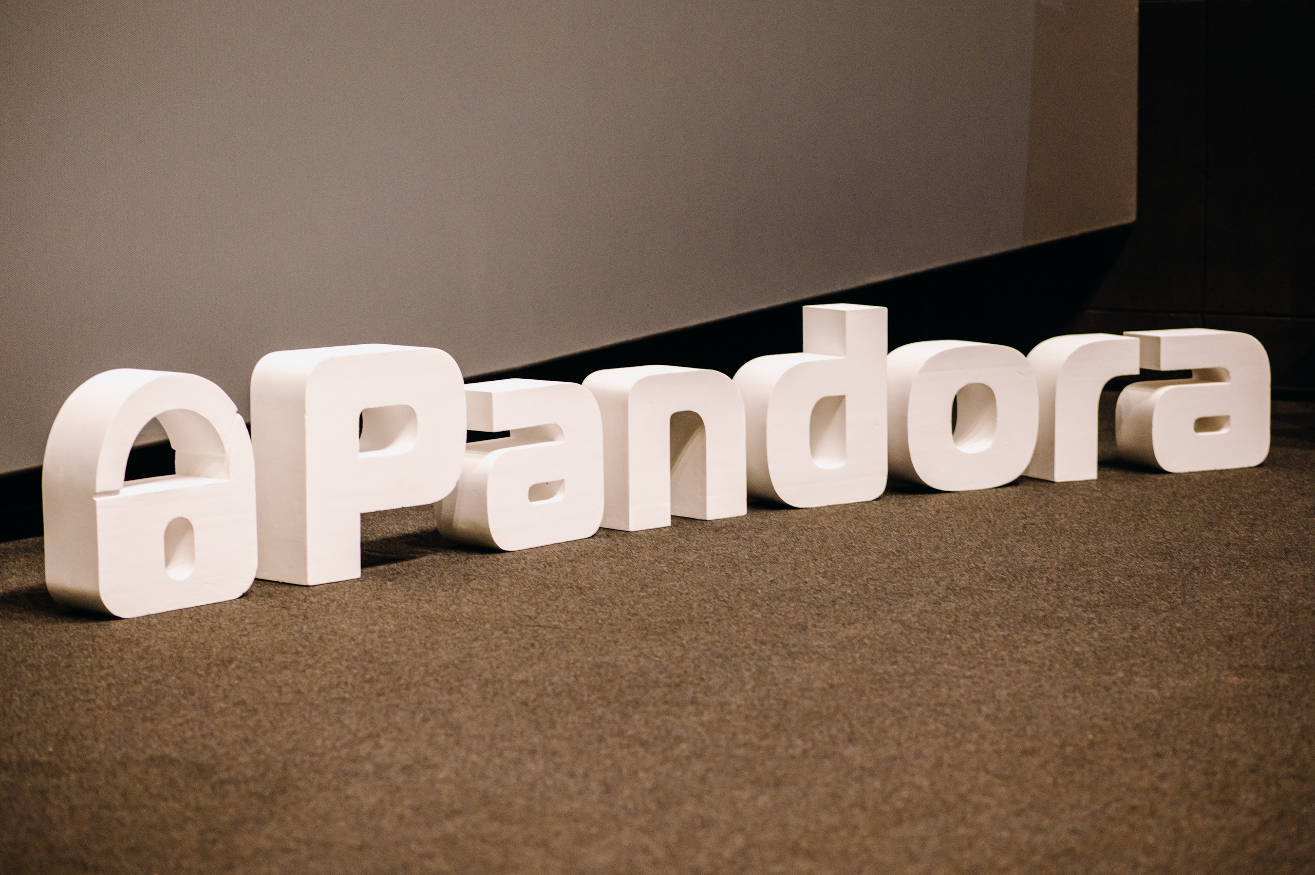 Конференция Пандора. Свадебный фотограф во Владивостоке Гарагуля Игорь