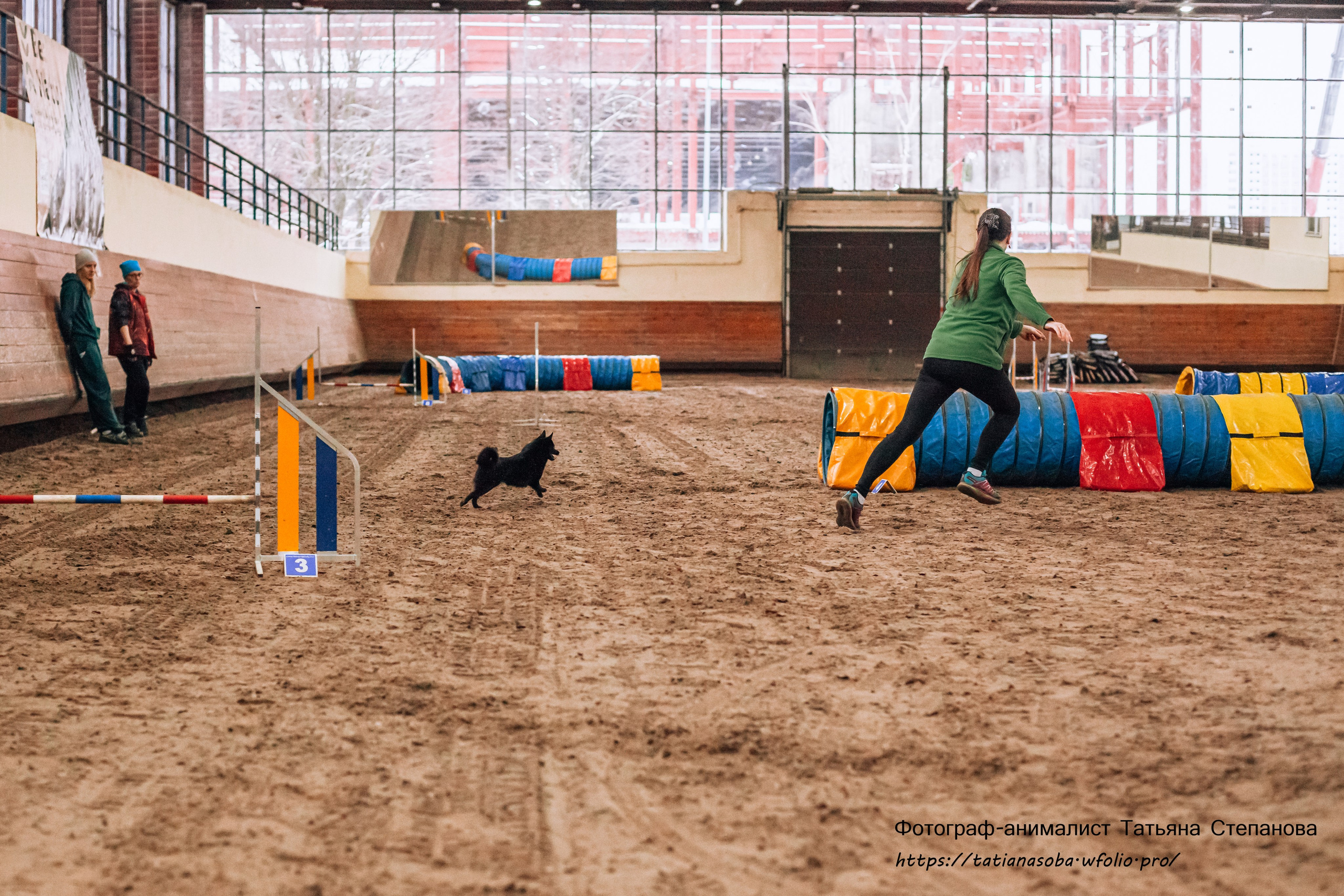 Соревнования по Аджилити 25.02.2024. Фотограф-анималист Татьяна Степанова