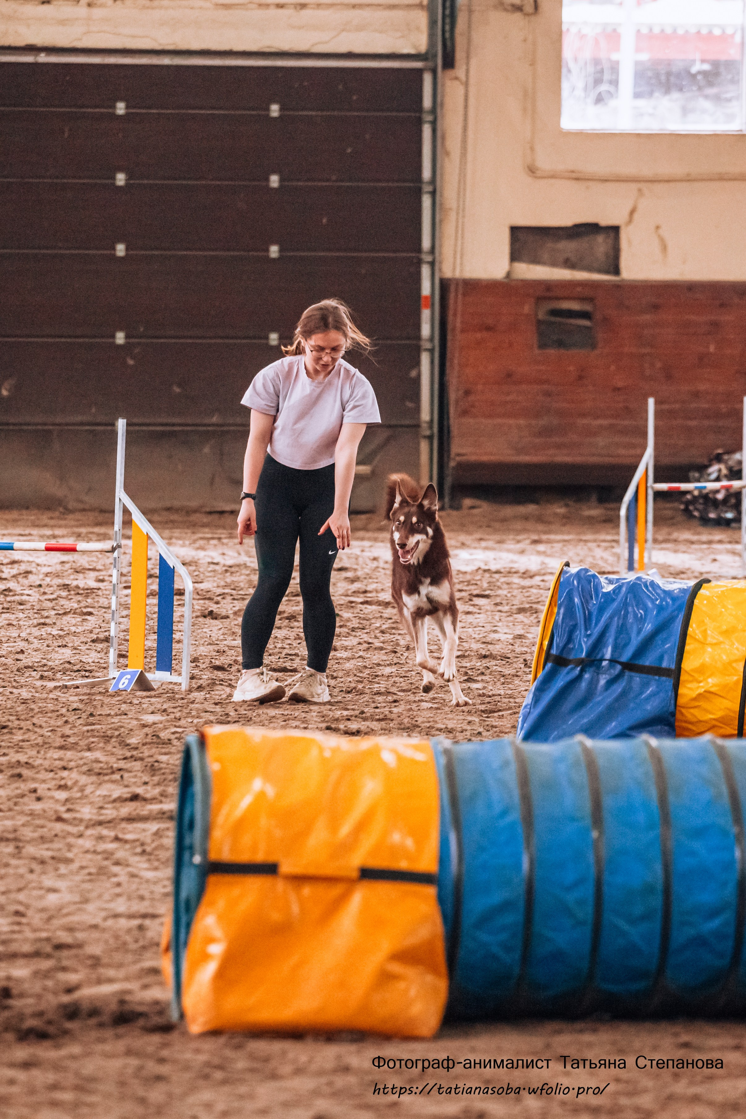 Соревнования по Аджилити 25.02.2024. Фотограф-анималист Татьяна Степанова