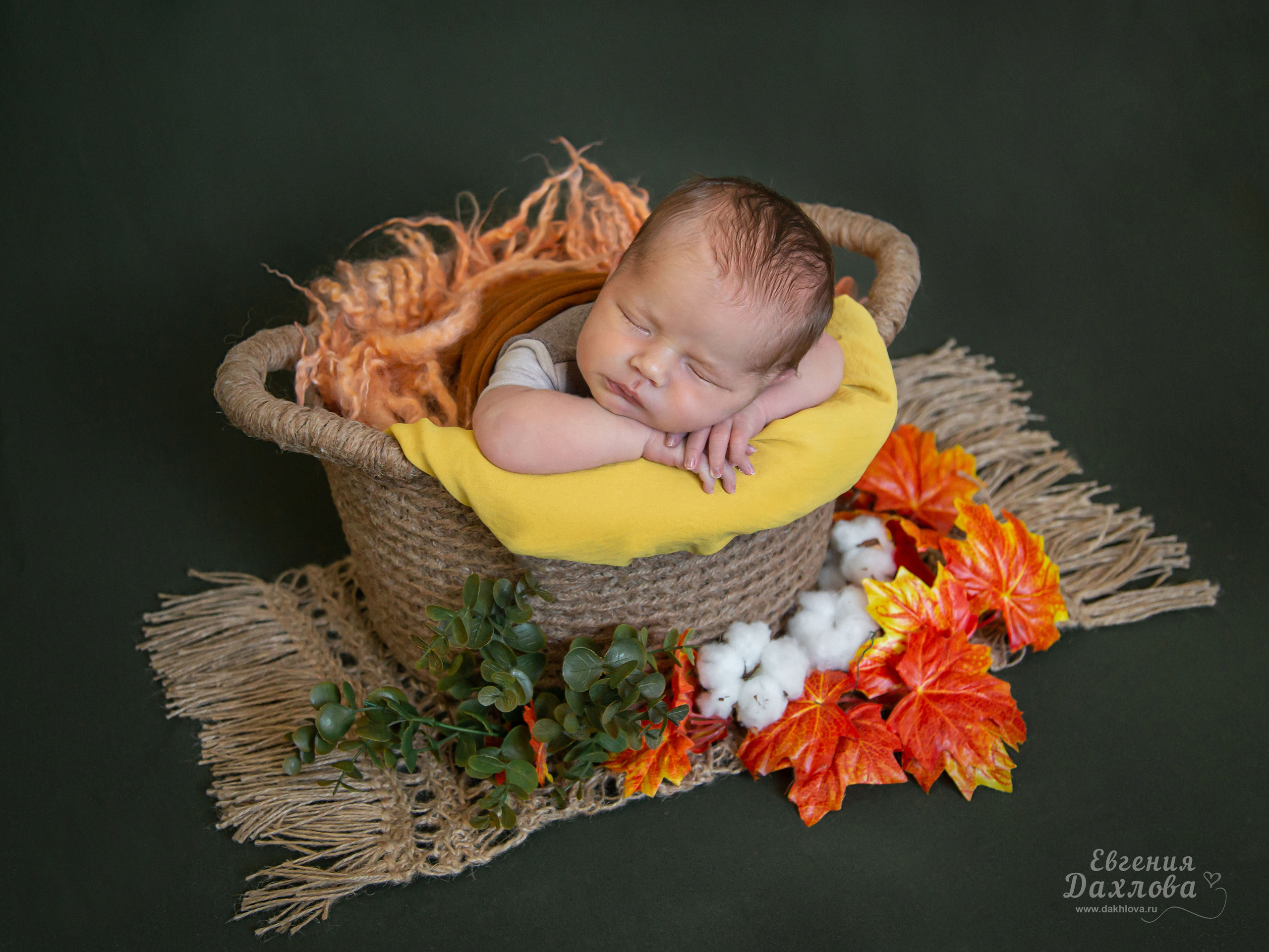 Галерея newborn. ФОТОСТИЛЬ, изготовление рекламной продукции в Приморско-Ахтарске