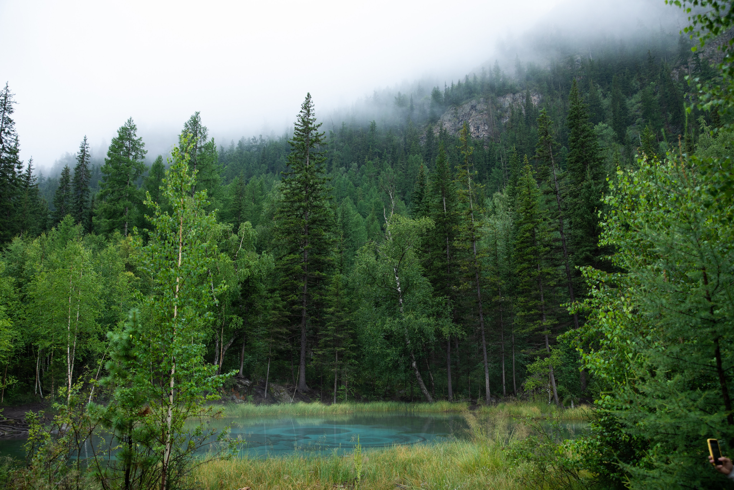 Altai. Yulia Tsyganova