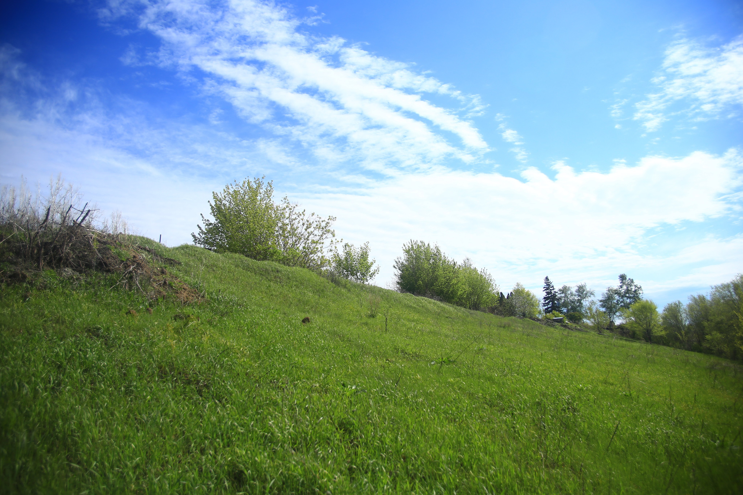 Всё, что я вижу вокруг себя